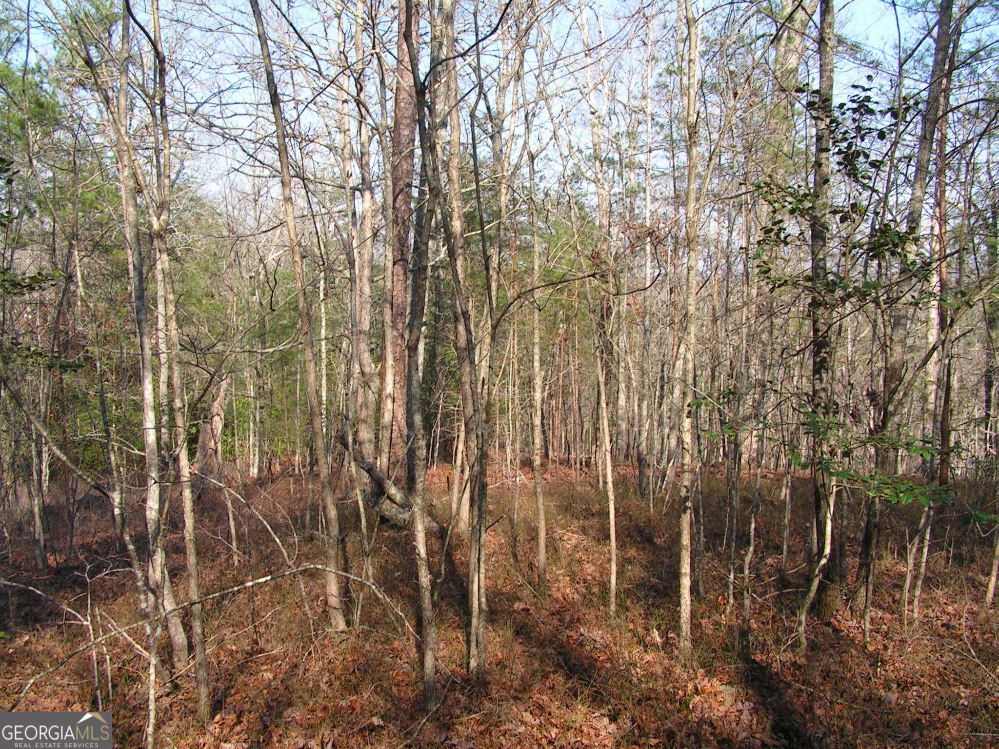 unimproved land for sale at 0 Mount Pleasant Church Road, Cleveland, GA 30528 — photo 3