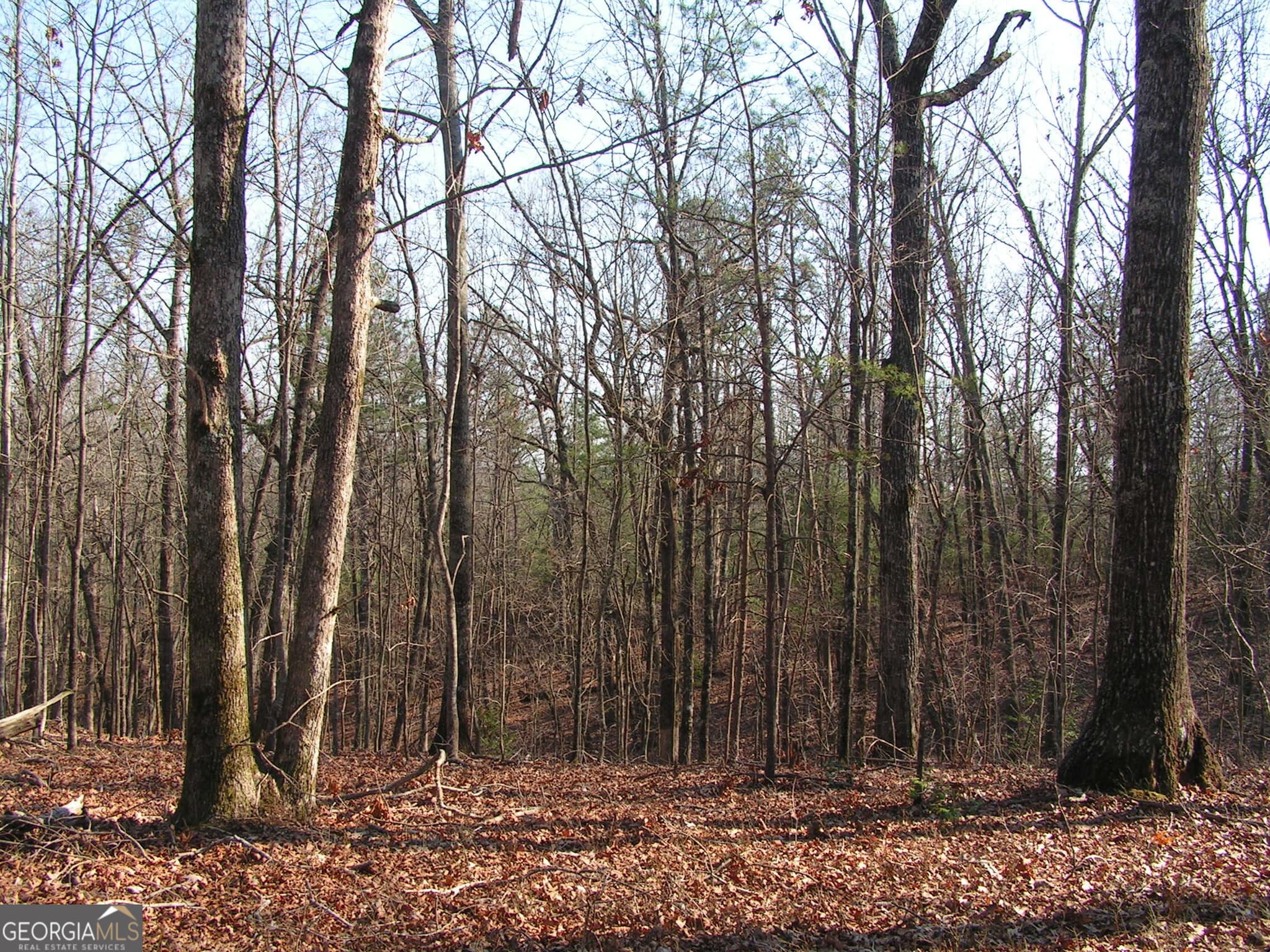 unimproved land for sale at 0 Mount Pleasant Church Road, Cleveland, GA 30528 — photo 5