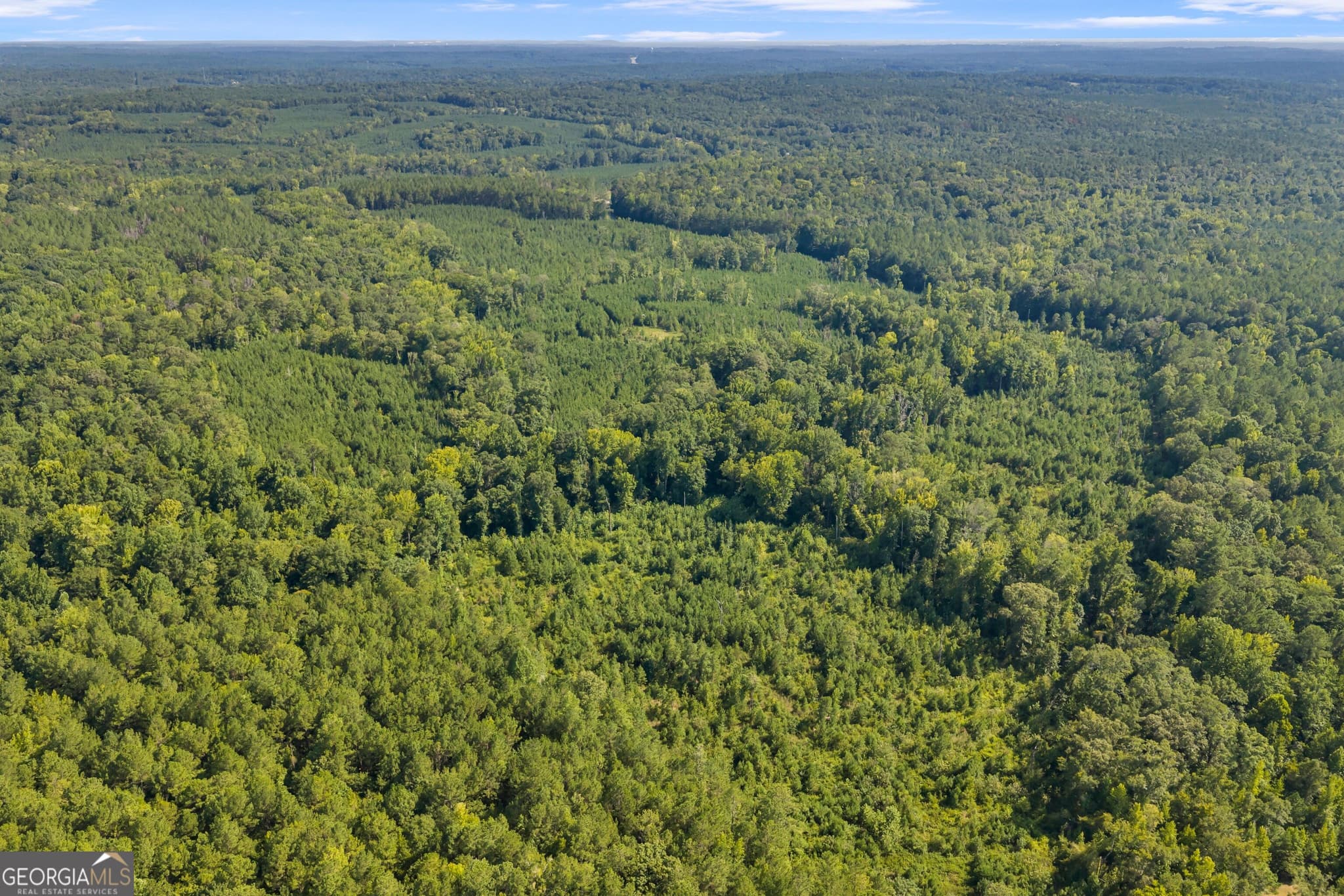unimproved land for sale at 0 Huckabee Road, Gray, GA 31032 — photo 9