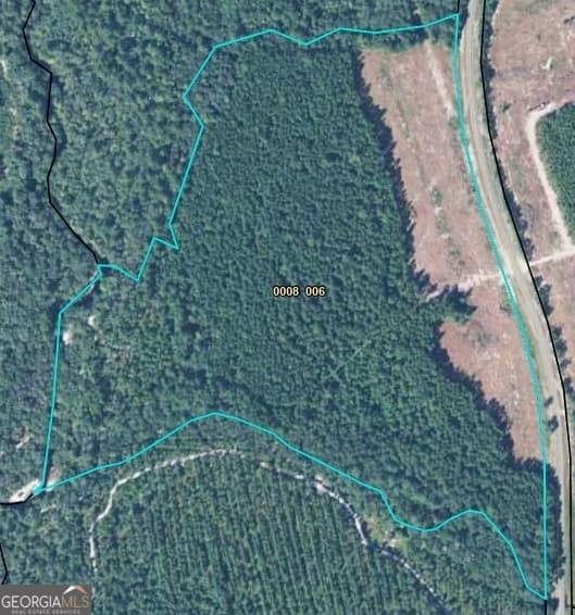 unimproved land for sale at 0 State Road 185, St. George, GA 31562 — photo 2