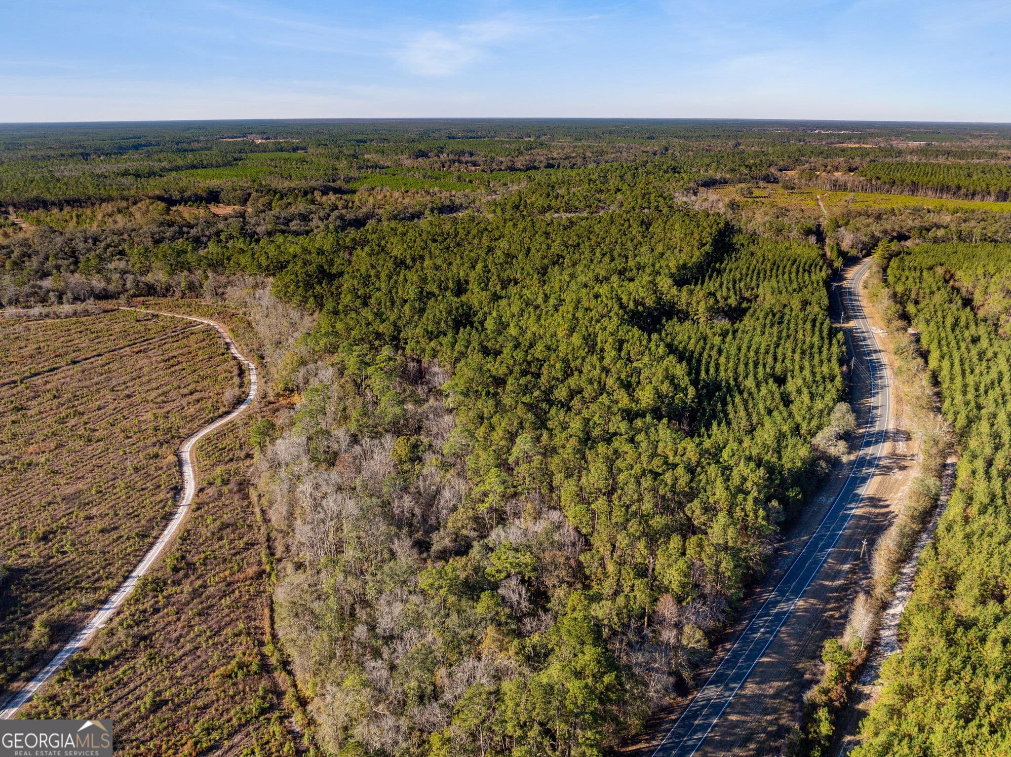 unimproved land for sale at 0 State Road 185, St. George, GA 31562 — photo 6