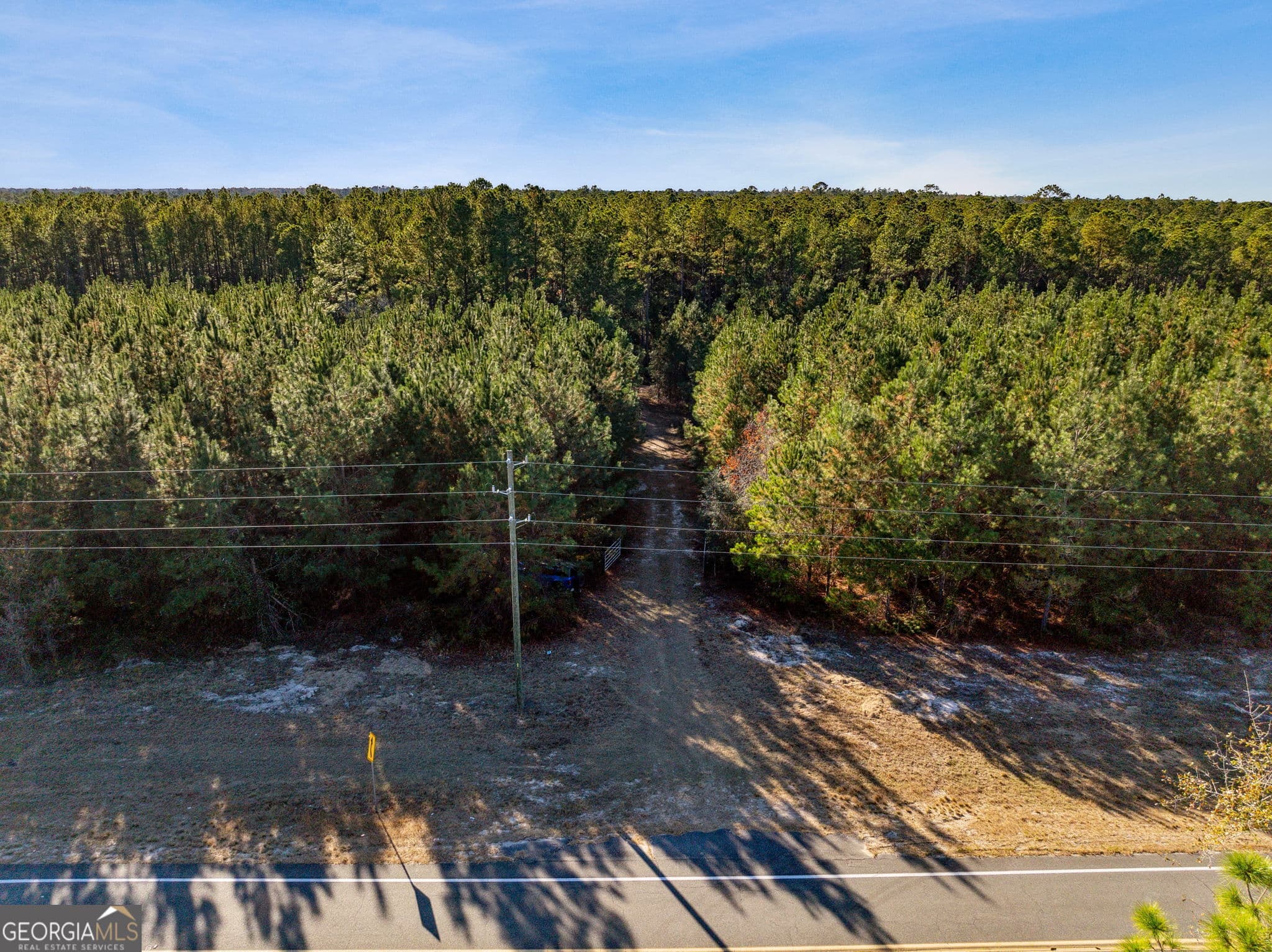 unimproved land for sale at 0 State Road 185, St. George, GA 31562 — photo 7