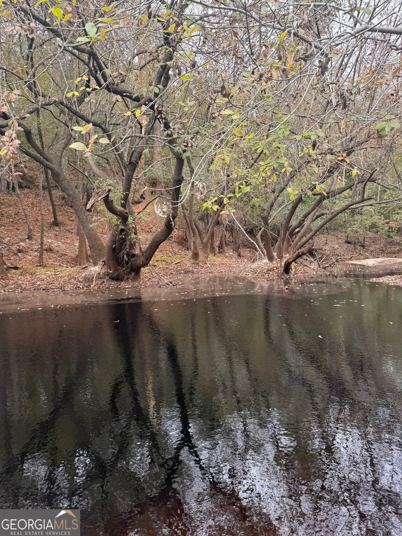 unimproved land for sale at 0 State Road 185, St. George, GA 31562 — photo 3