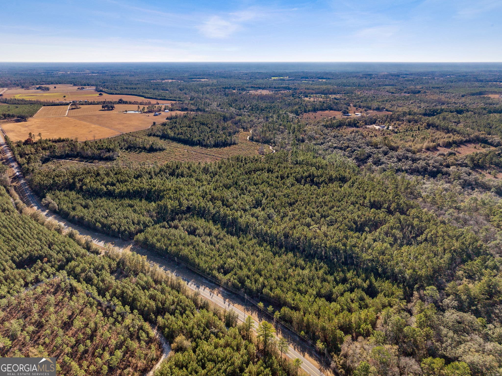 unimproved land for sale at 0 State Road 185, St. George, GA 31562