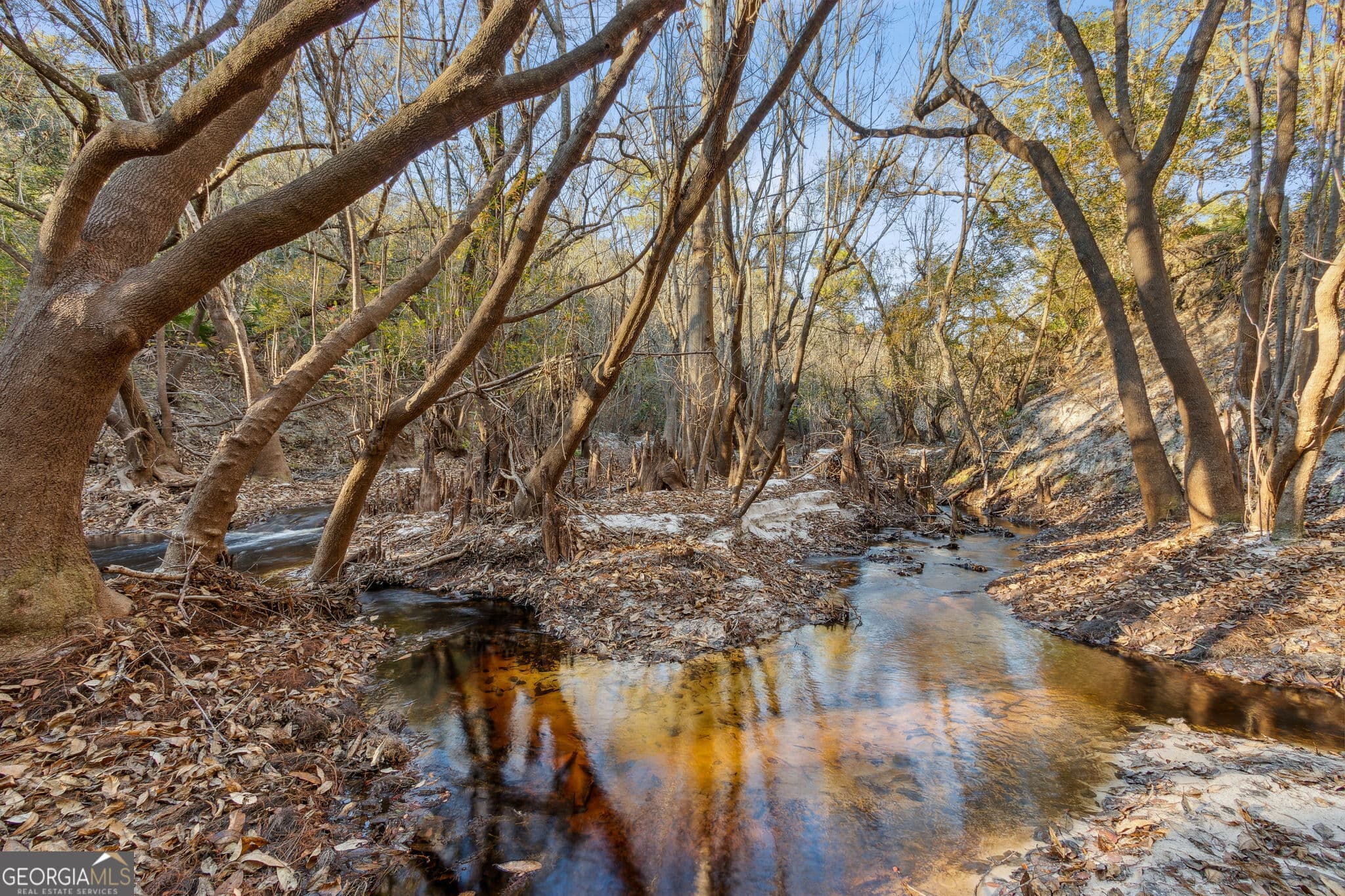 unimproved land for sale at 0 State Road 185, St. George, GA 31562 — photo 5