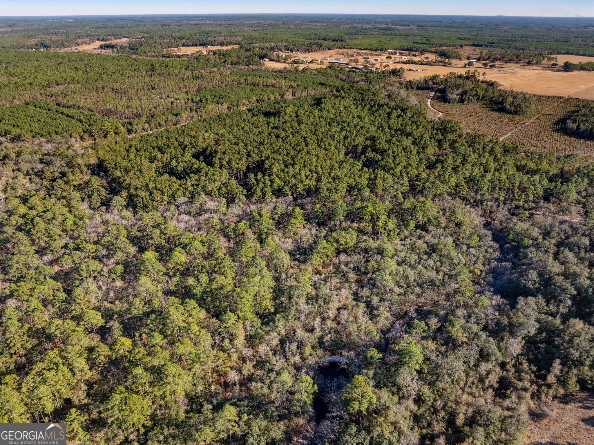 unimproved land for sale at 0 State Road 185, St. George, GA 31562 — photo 9