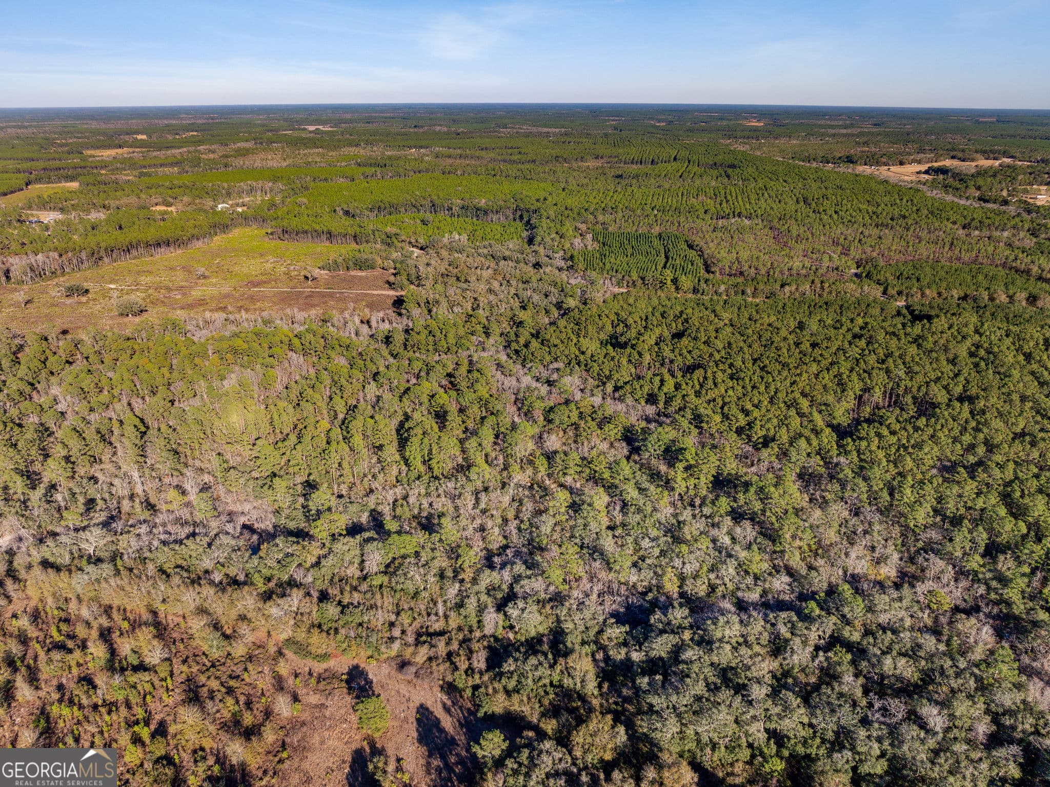 unimproved land for sale at 0 State Road 185, St. George, GA 31562 — photo 10