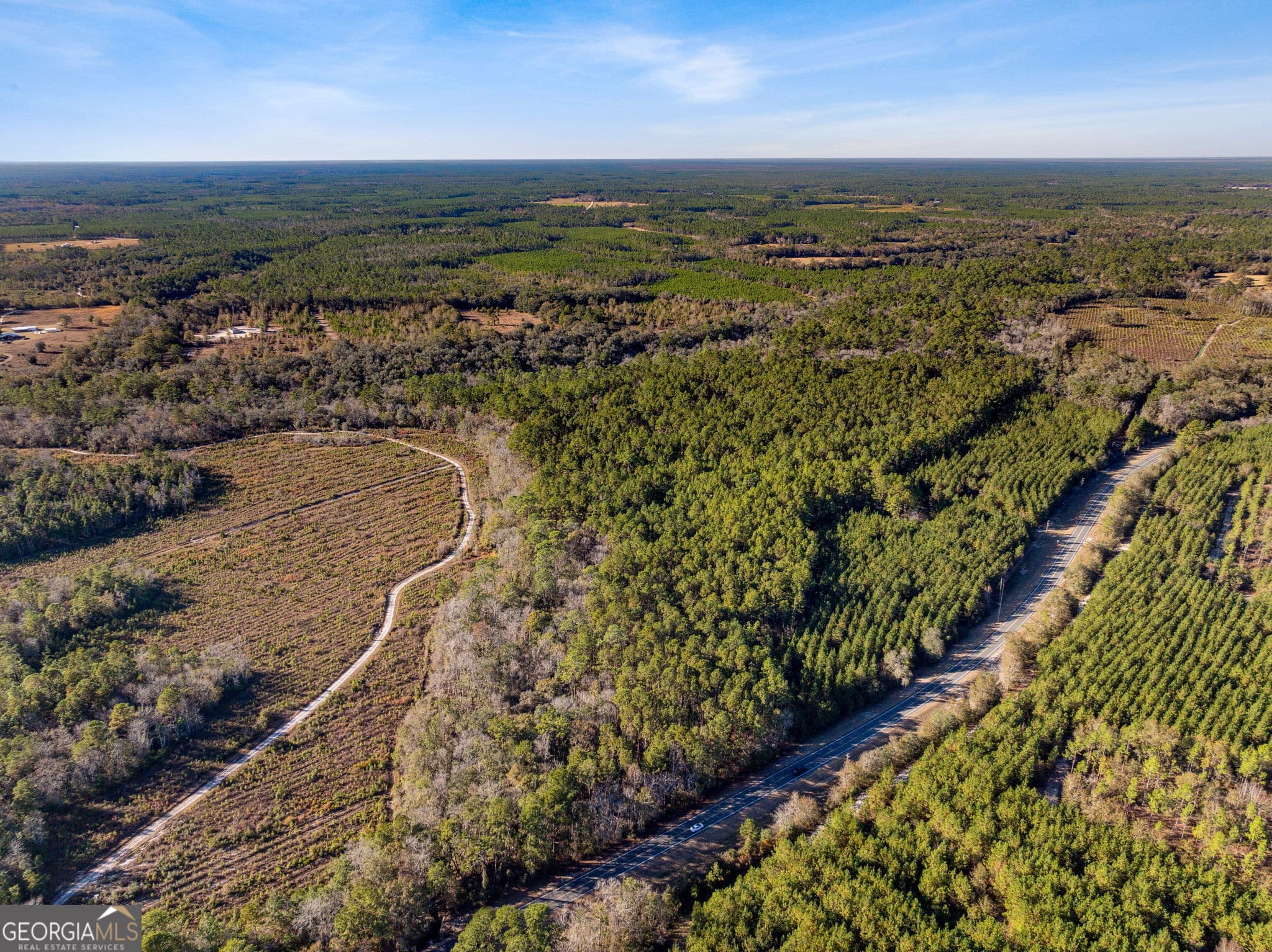 unimproved land for sale at 0 State Road 185, St. George, GA 31562 — photo 4