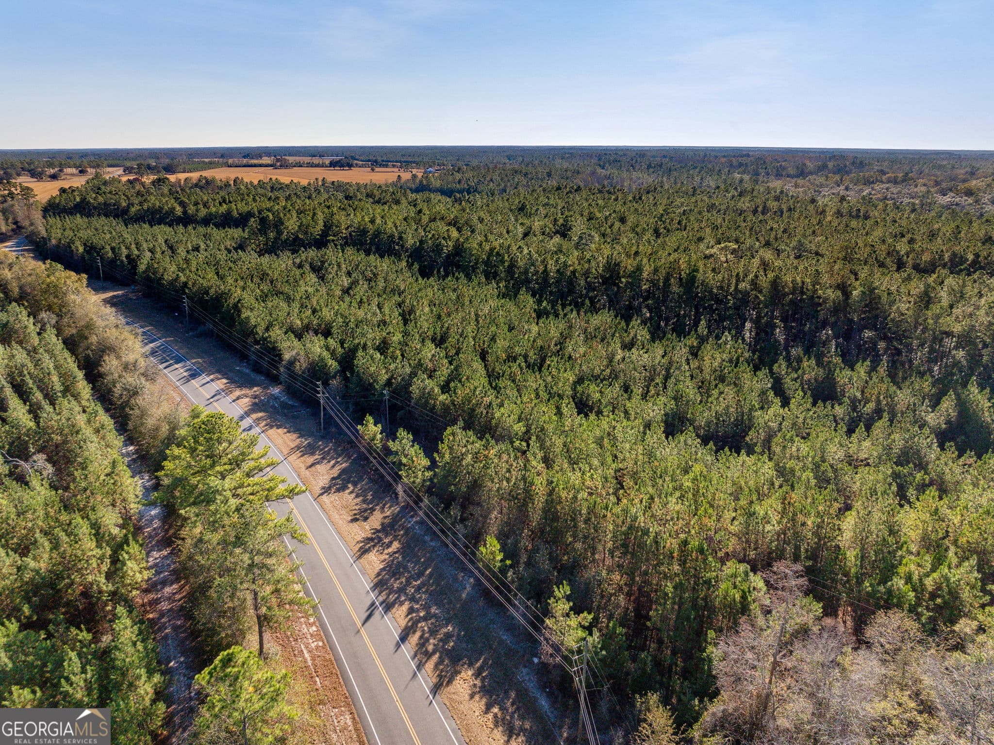 unimproved land for sale at 0 State Road 185, St. George, GA 31562 — photo 8
