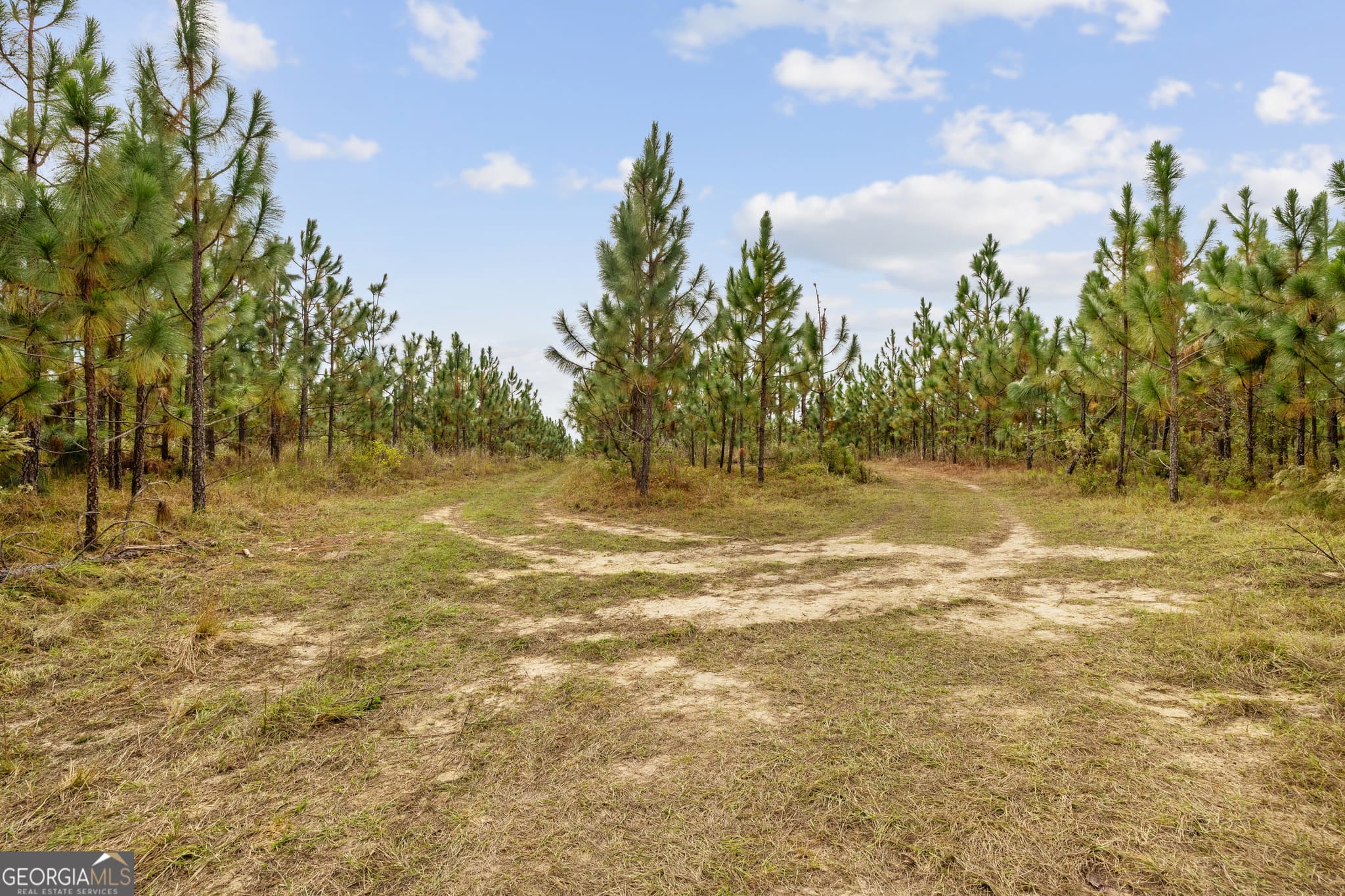 unimproved land for sale at 0 Highway 297 TRACTS 3 & 4, Soperton, GA 30457 — photo 7