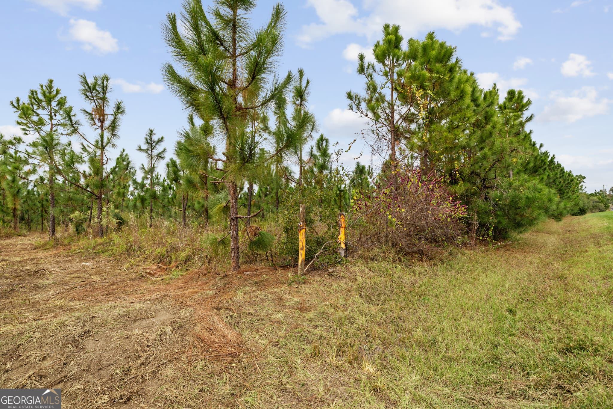unimproved land for sale at 0 Highway 297 TRACTS 3 & 4, Soperton, GA 30457 — photo 3