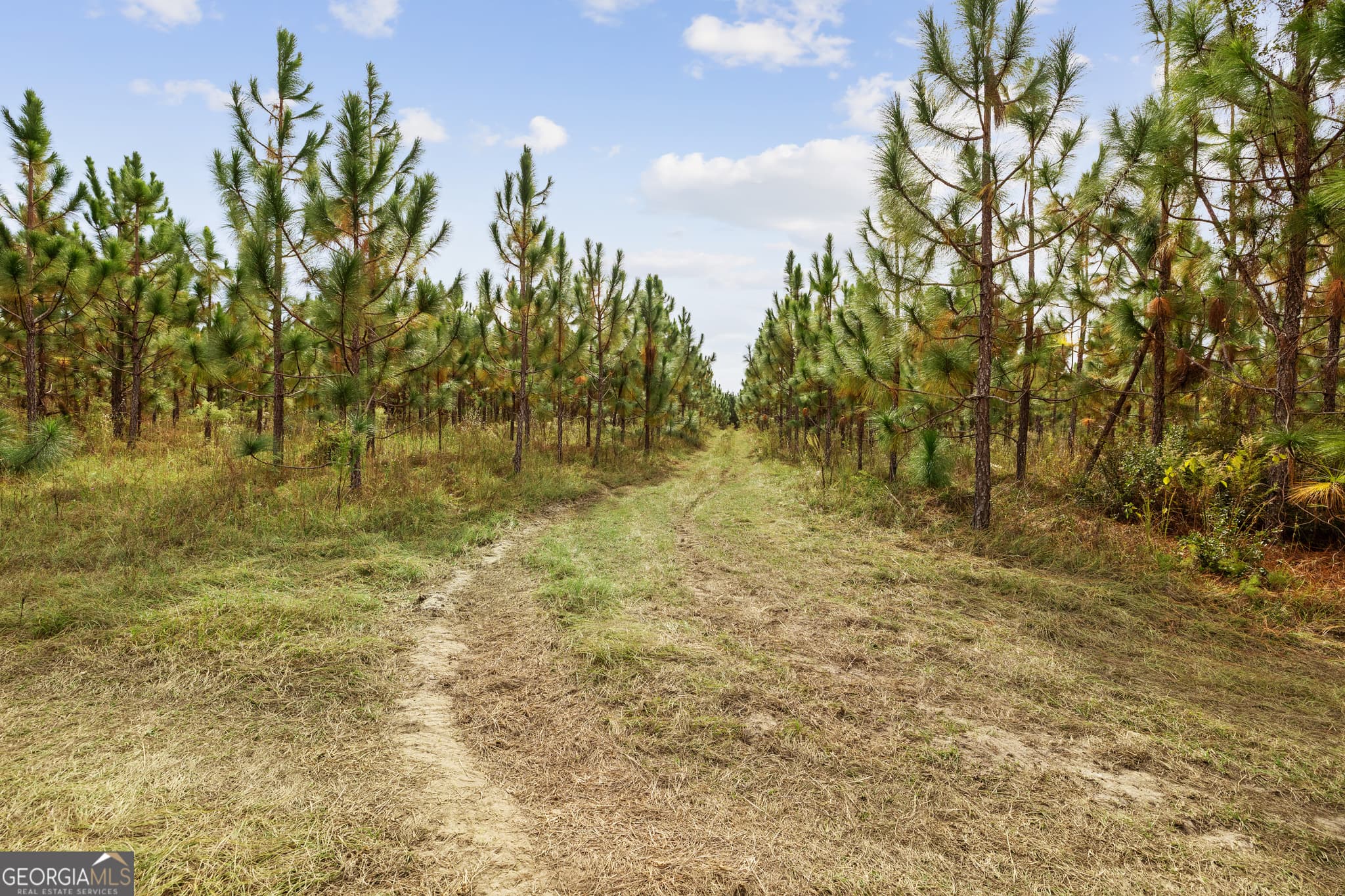 unimproved land for sale at 0 Highway 297 TRACTS 3 & 4, Soperton, GA 30457 — photo 10