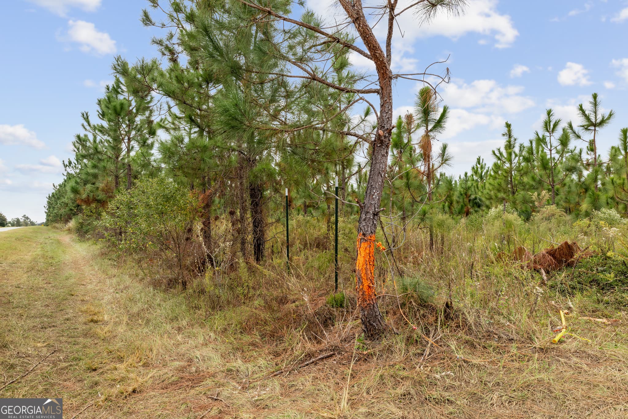 unimproved land for sale at 0 Highway 297 TRACTS 3 & 4, Soperton, GA 30457 — photo 4