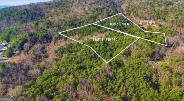 unimproved land for sale at 0 Tower Road, Cumming, GA 30040 — photo 3