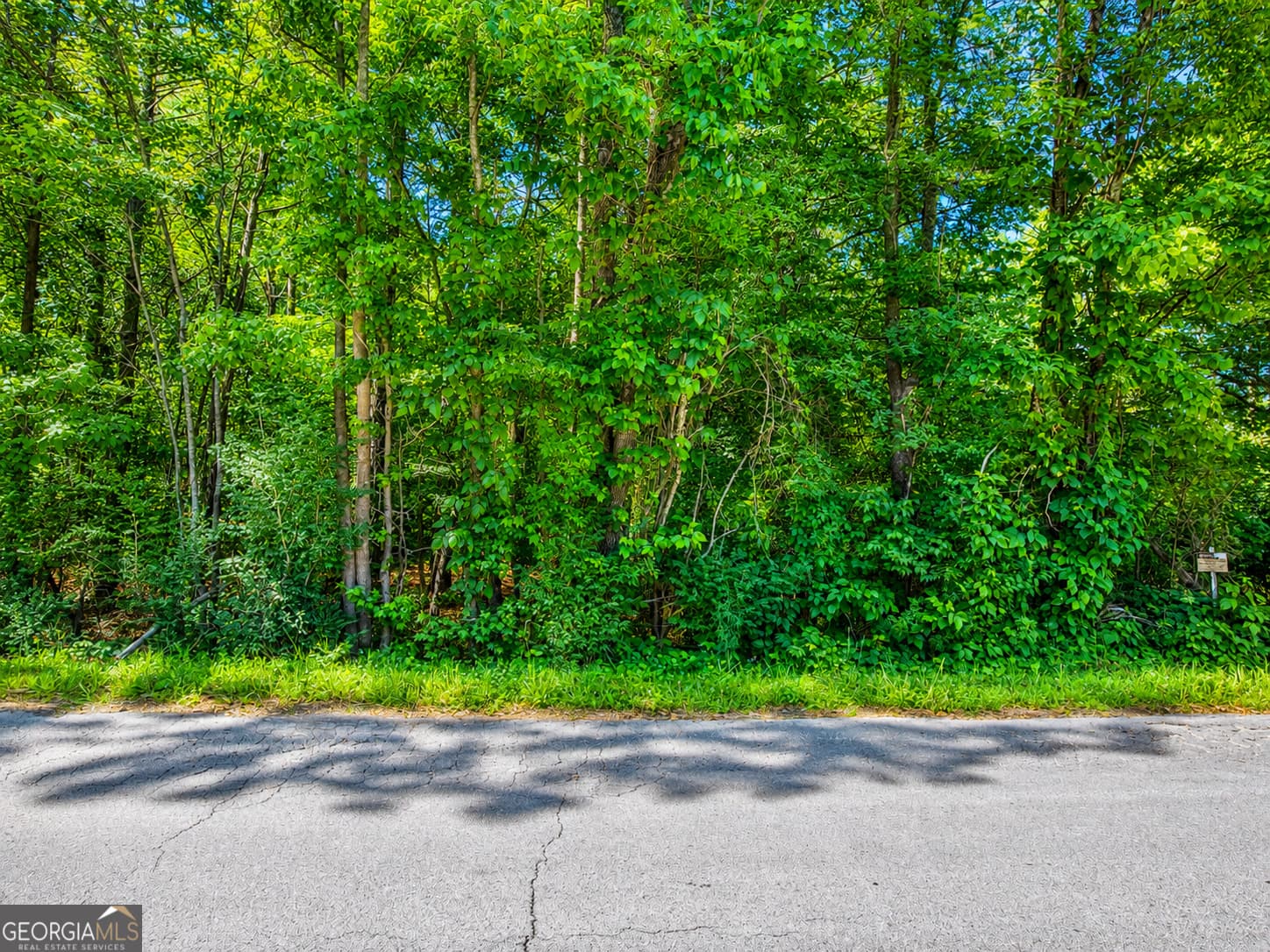 residential lot for sale at 8 ACRES Bandy Road, Lafayette, GA 30728 — photo 5