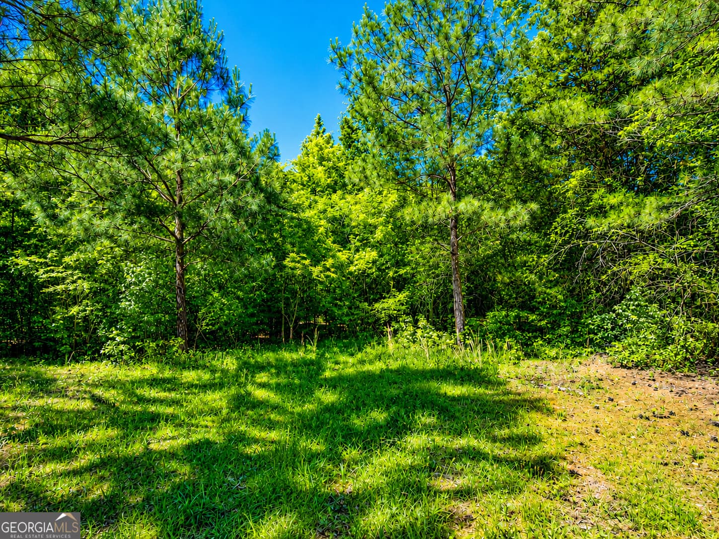 residential lot for sale at 8 ACRES Bandy Road, Lafayette, GA 30728 — photo 4