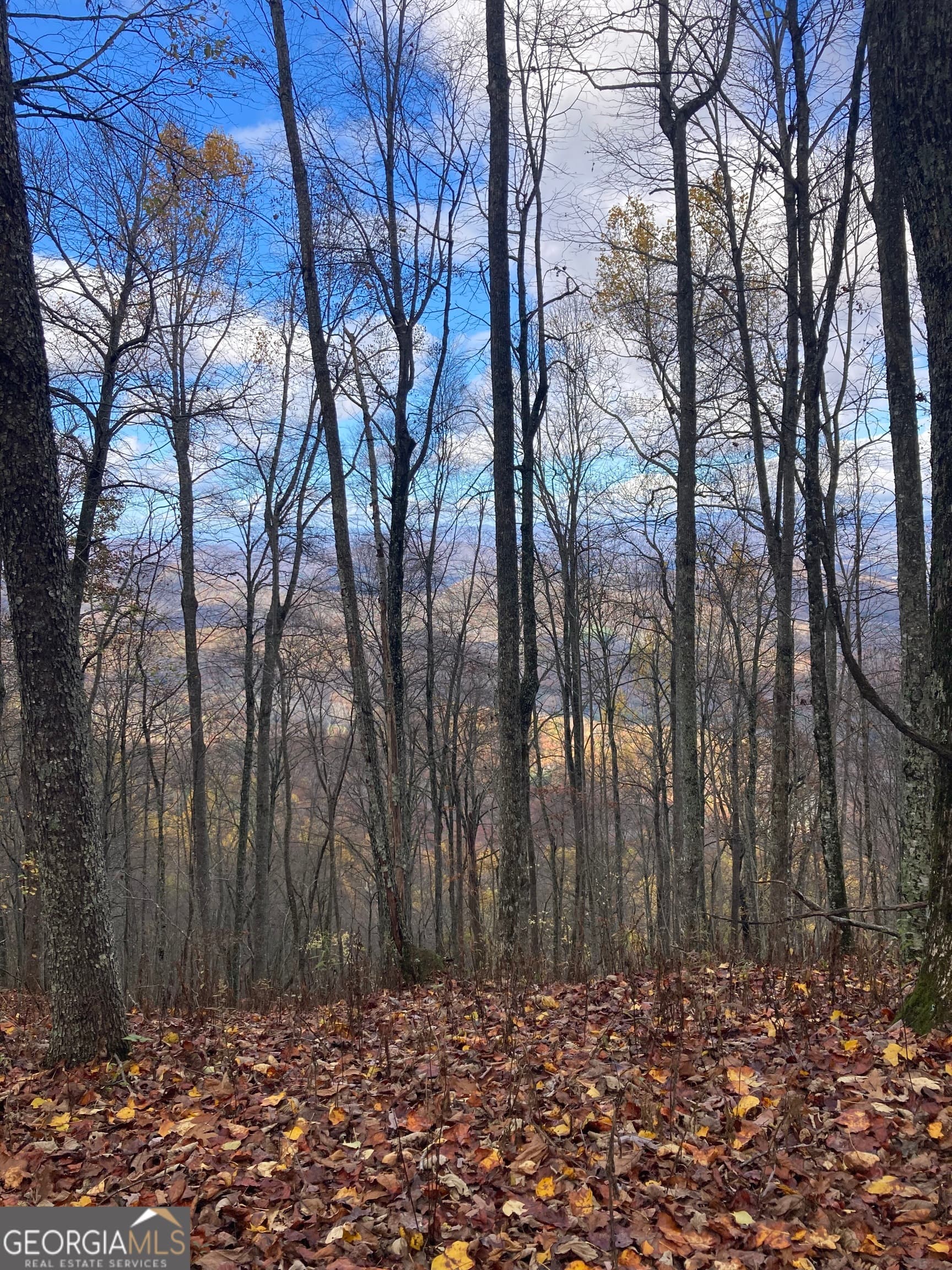 agriculture sold at 0 Crestview Drive, Otto, NC 28763