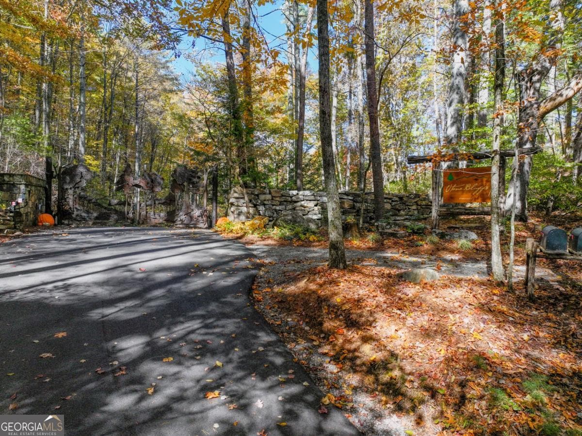 residential lot for sale at LOT 46 Utana Bluffs Trail, Ellijay, GA 30540 — photo 2