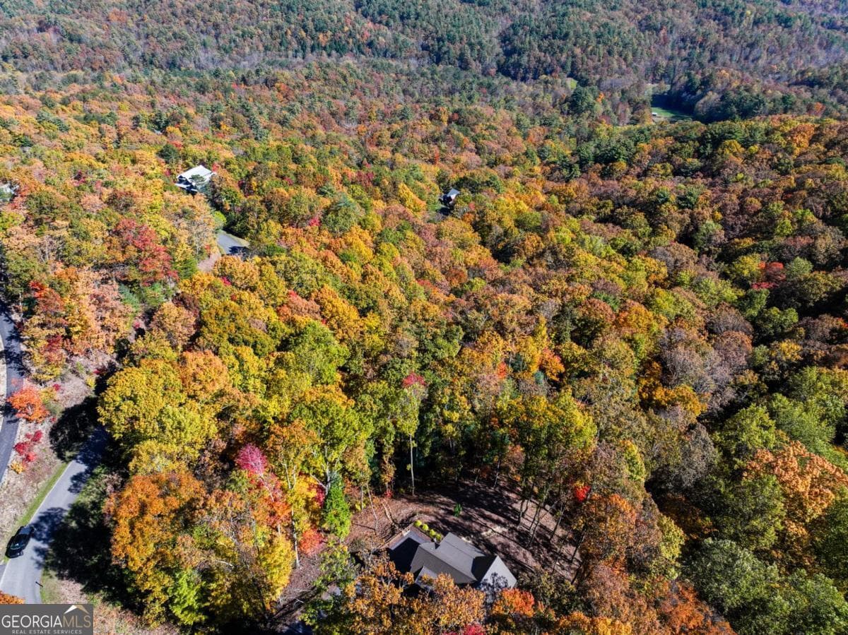 residential lot for sale at LOT 46 Utana Bluffs Trail, Ellijay, GA 30540 — photo 6