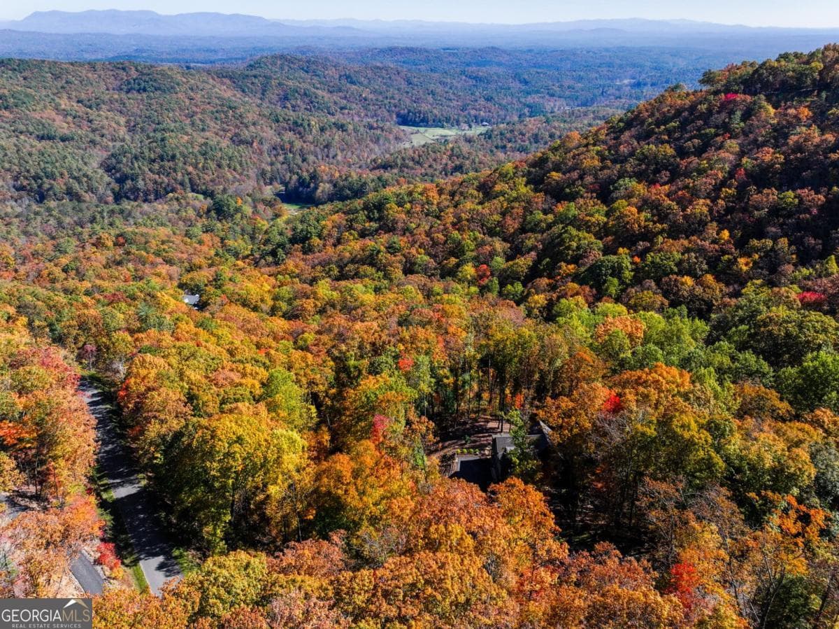 residential lot for sale at LOT 46 Utana Bluffs Trail, Ellijay, GA 30540 — photo 7
