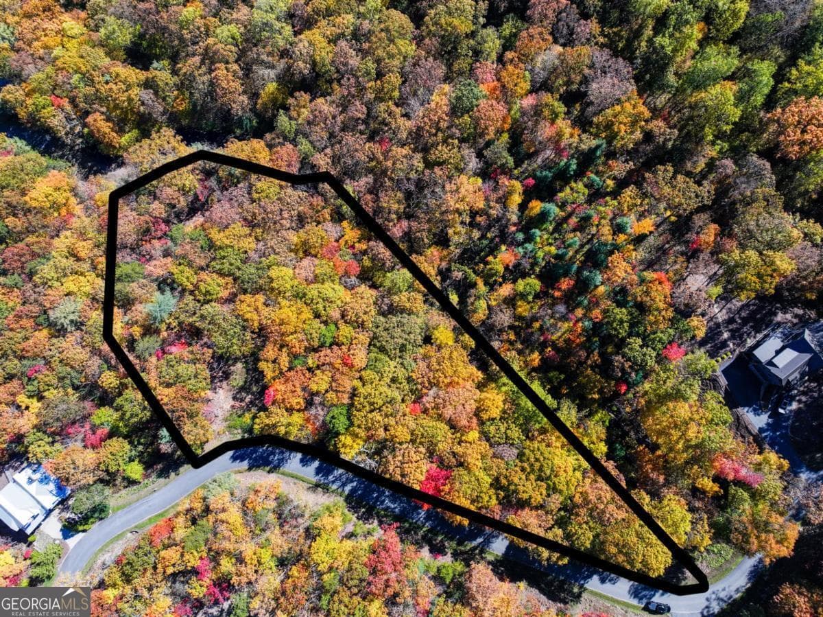 residential lot for sale at LOT 46 Utana Bluffs Trail, Ellijay, GA 30540 — photo 3