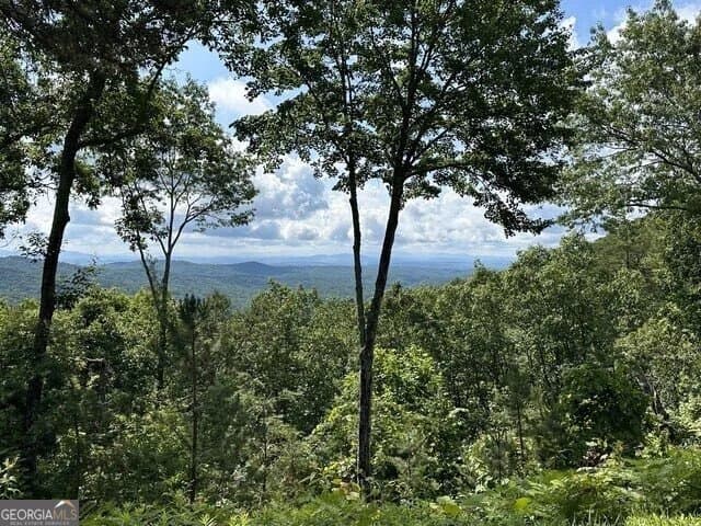 residential lot for sale at LOT 46 Utana Bluffs Trail, Ellijay, GA 30540 — photo 1 of 49