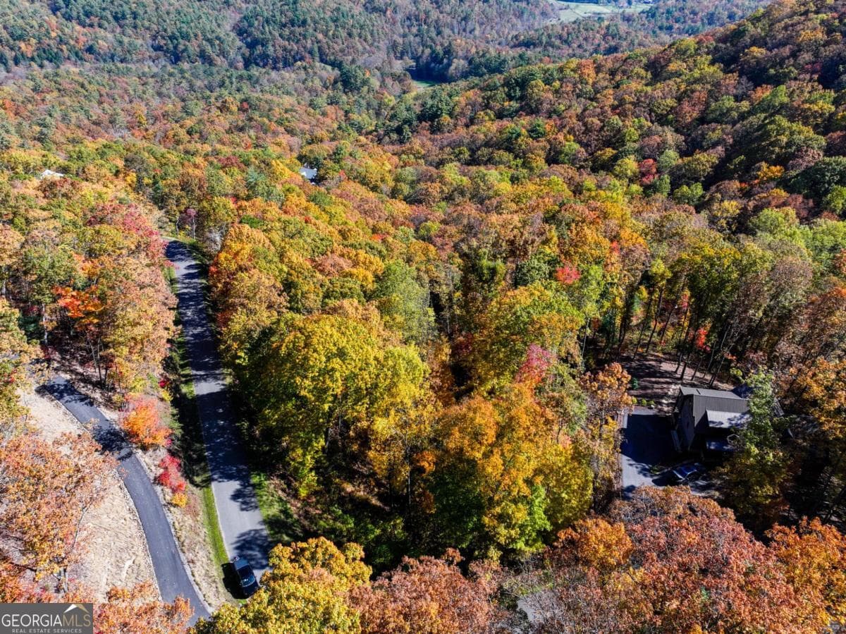 residential lot for sale at LOT 46 Utana Bluffs Trail, Ellijay, GA 30540 — photo 5