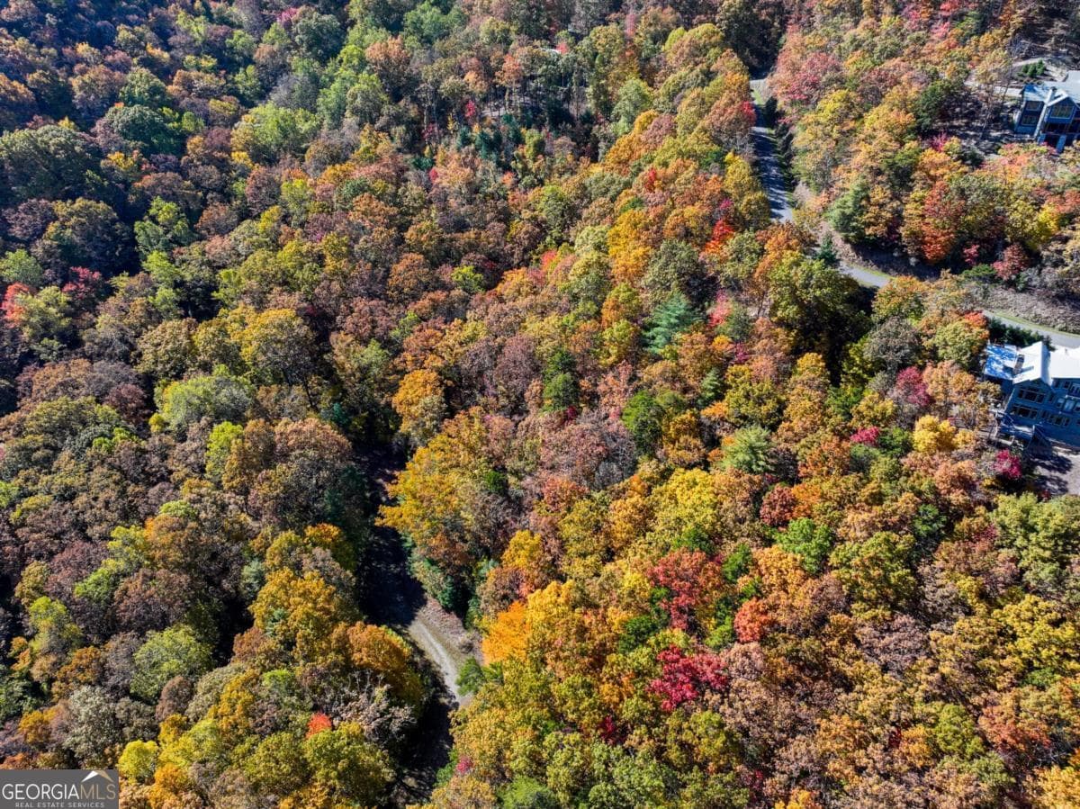 residential lot for sale at LOT 46 Utana Bluffs Trail, Ellijay, GA 30540 — photo 9