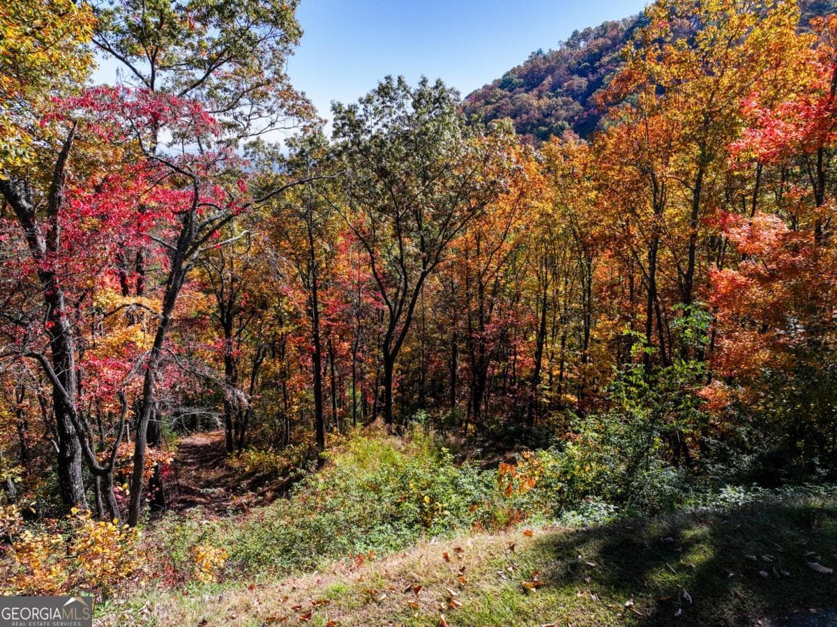 residential lot for sale at LOT 46 Utana Bluffs Trail, Ellijay, GA 30540 — photo 10