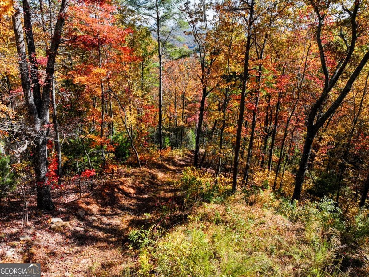 residential lot for sale at LOT 46 Utana Bluffs Trail, Ellijay, GA 30540 — photo 4