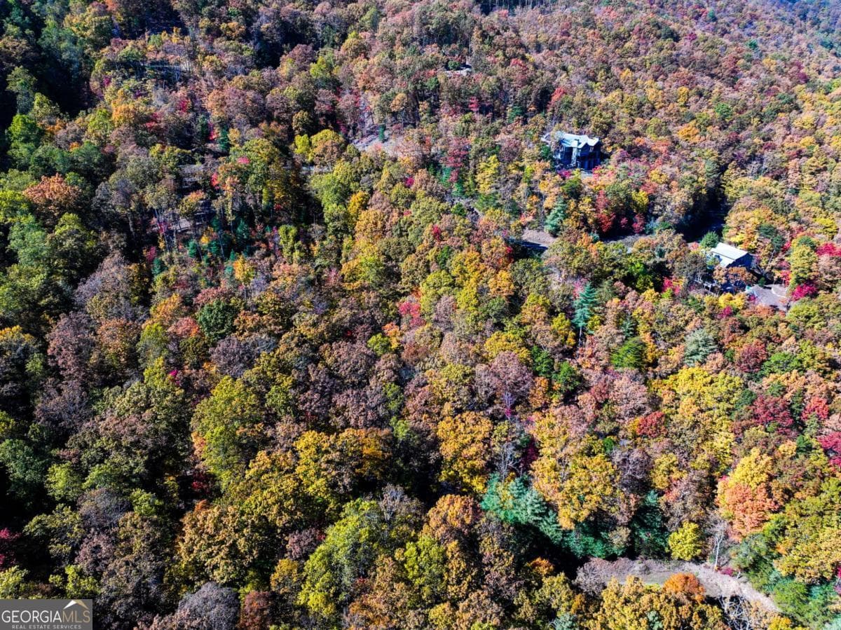 residential lot for sale at LOT 46 Utana Bluffs Trail, Ellijay, GA 30540 — photo 8