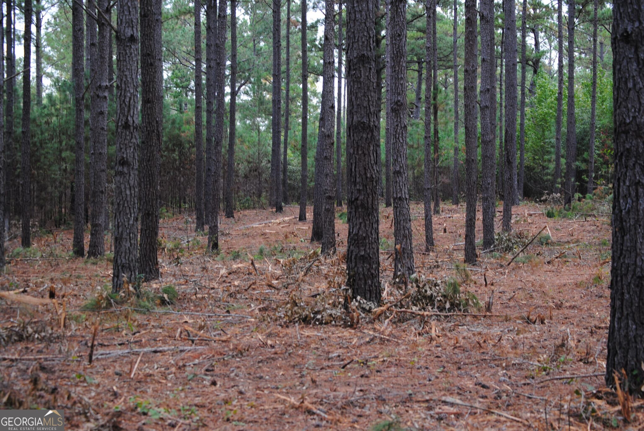 residential lot for sale at 137 W Drummond 6, West Point, GA 31833 — photo 2