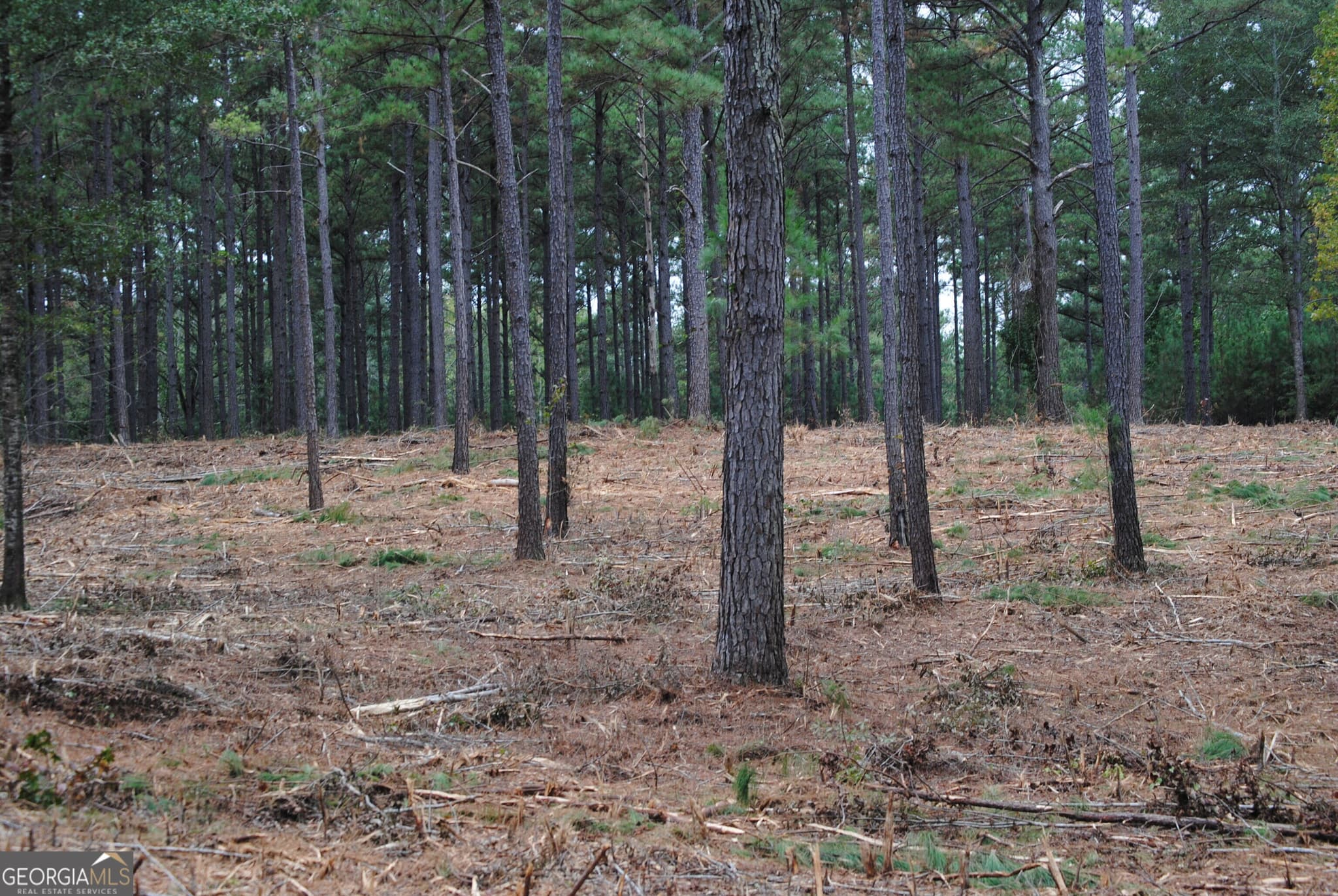 residential lot for sale at 137 W Drummond 6, West Point, GA 31833 — photo 3