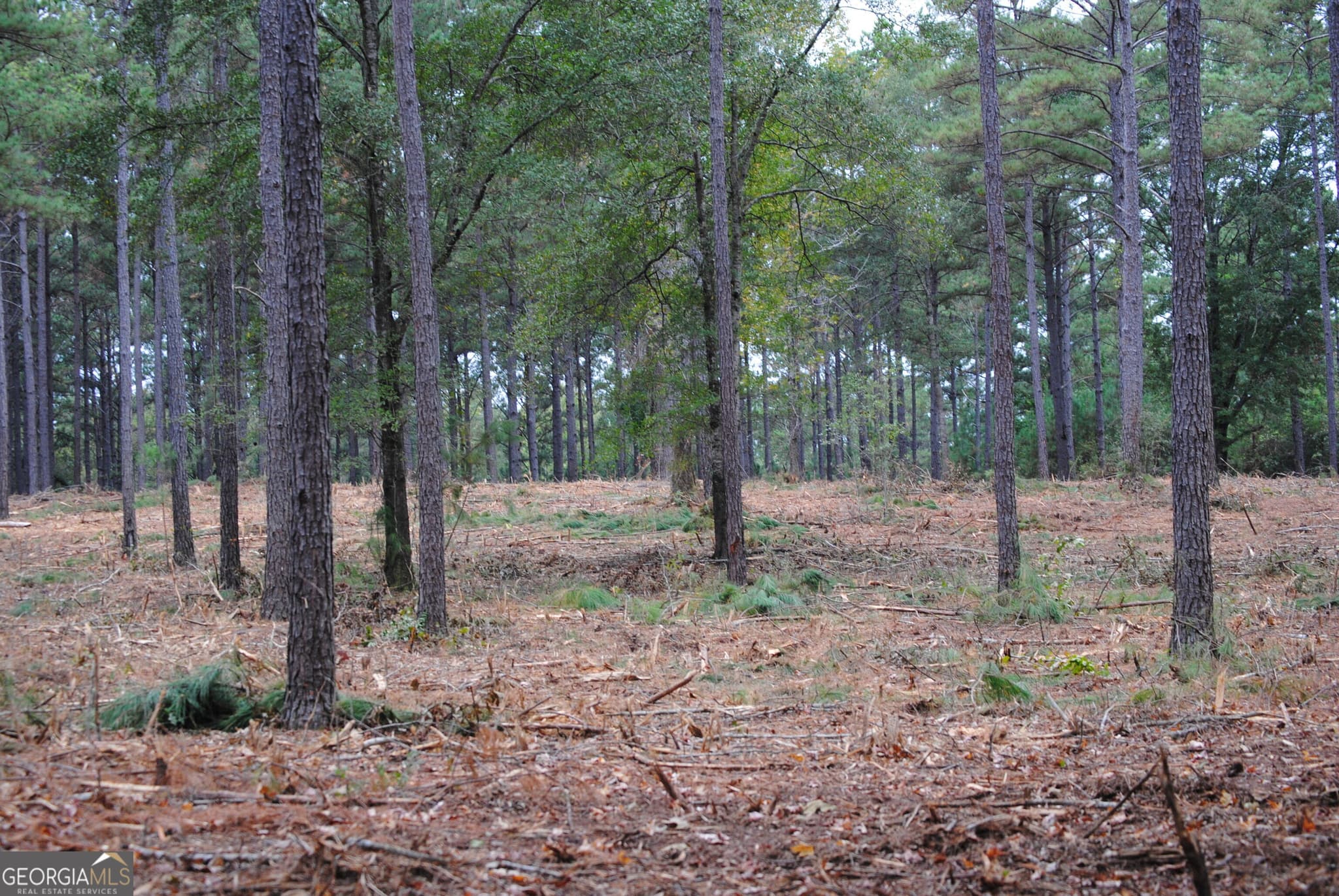 residential lot for sale at 137 W Drummond 6, West Point, GA 31833 — photo 1 of 5
