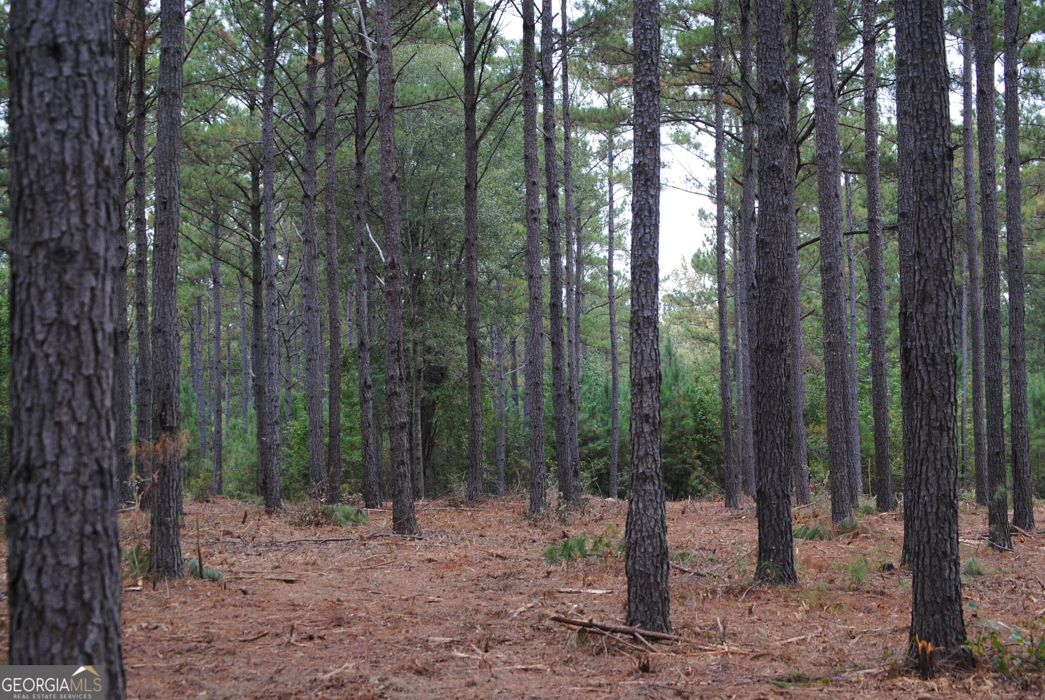 residential lot for sale at 137 W Drummond 6, West Point, GA 31833 — photo 5