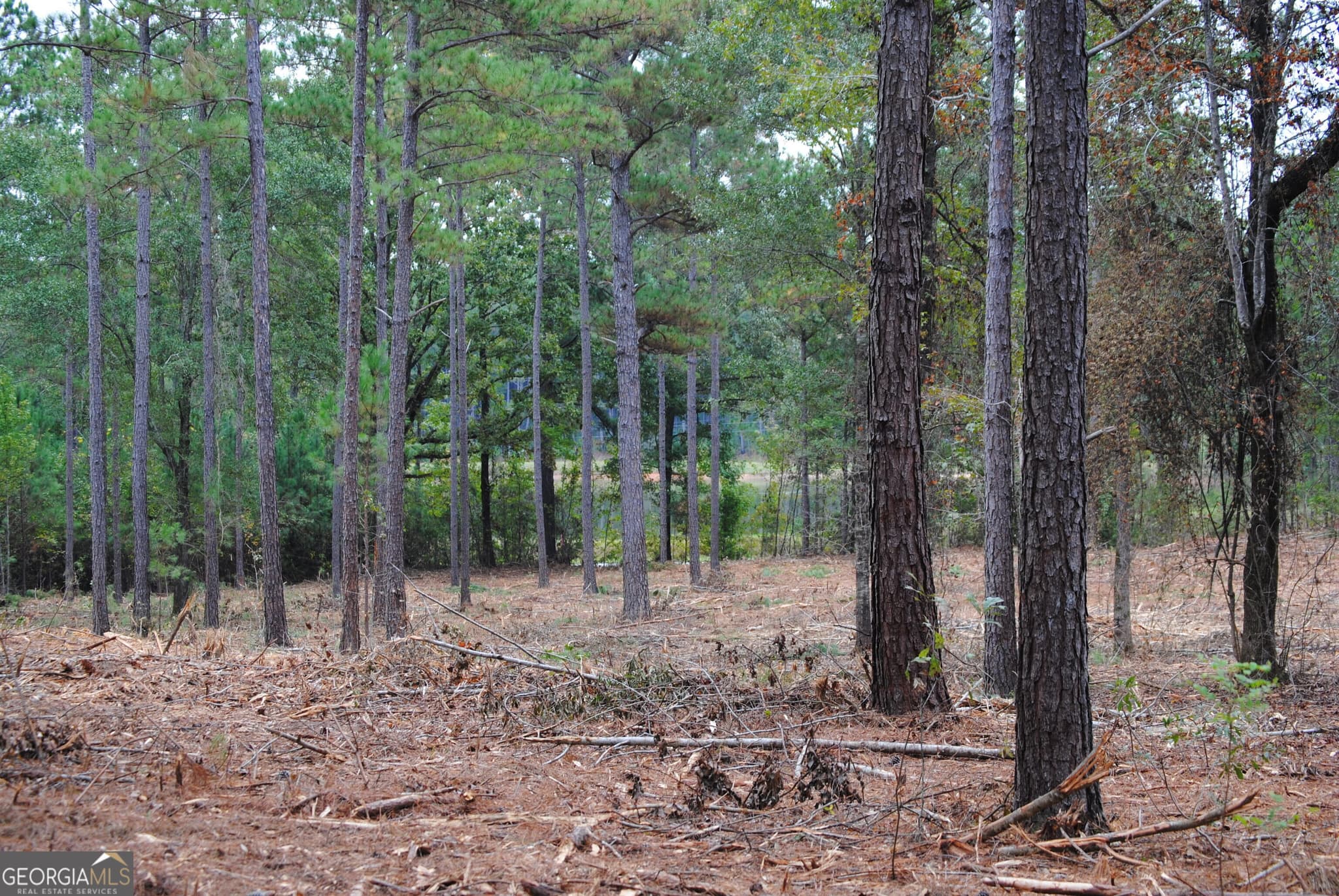 residential lot for sale at 137 W Drummond 6, West Point, GA 31833 — photo 4