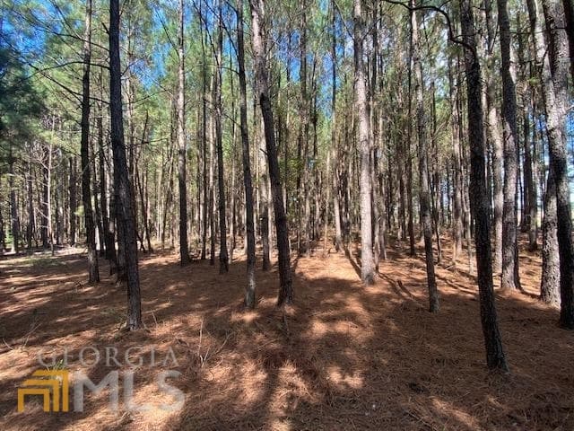 agriculture sold at 0 Blackjack Road, Louisville, GA 30434