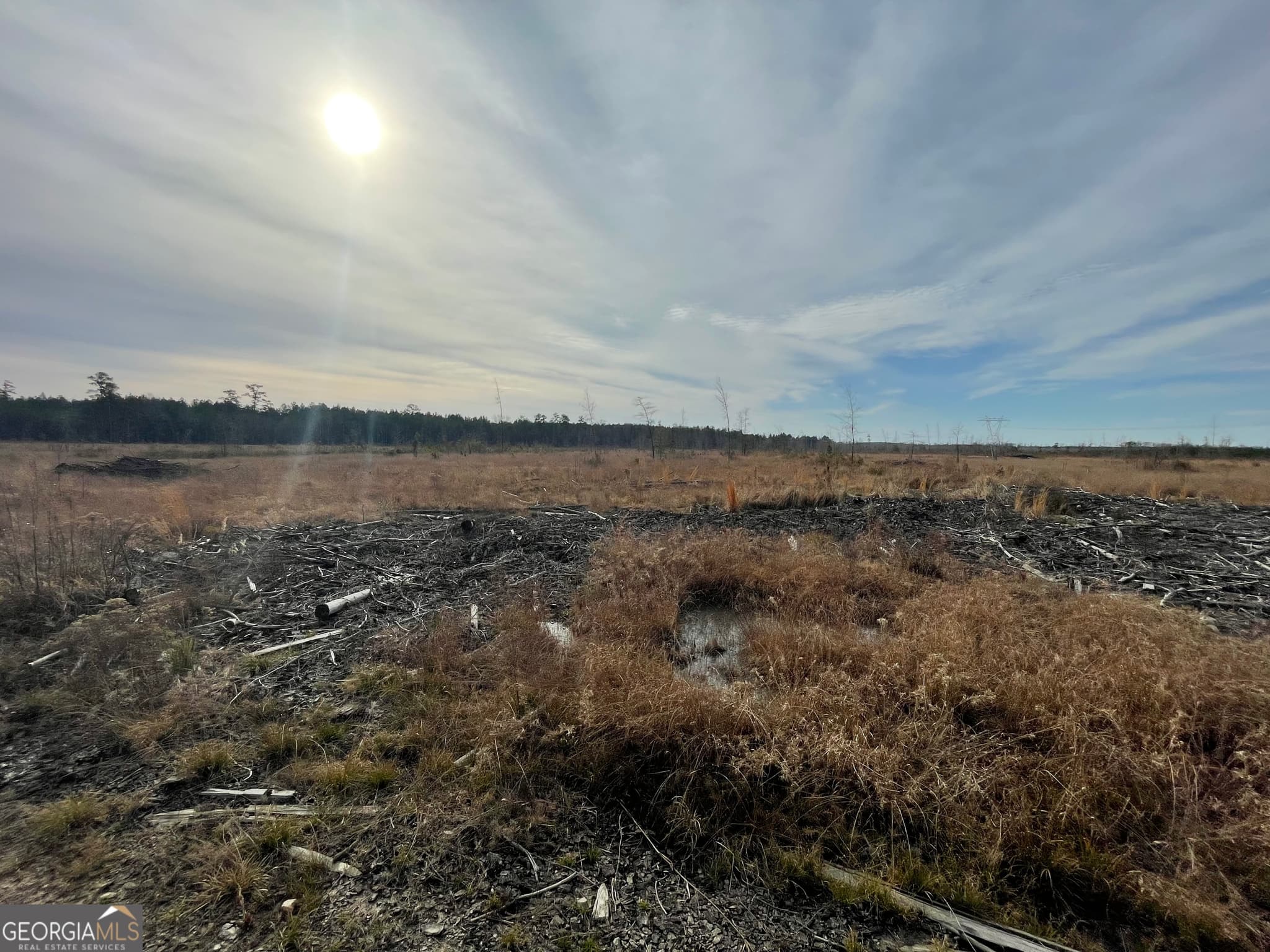agriculture for sale at 1 Newington Highway, Sylvania, GA 30467 — photo 6