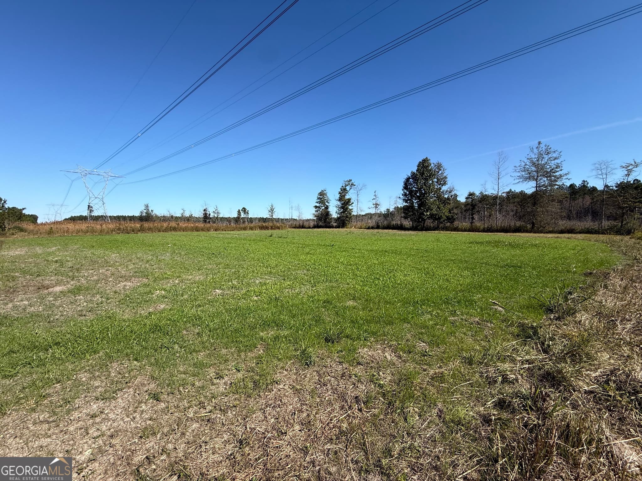 agriculture for sale at 1 Newington Highway, Sylvania, GA 30467