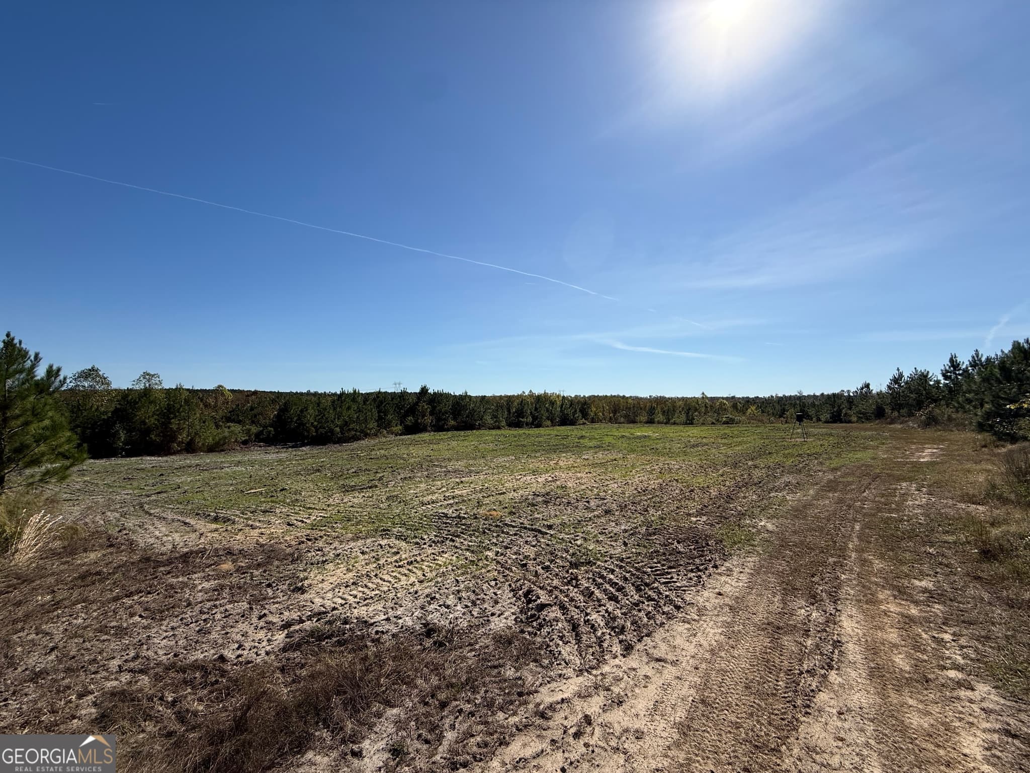 agriculture for sale at 1 Newington Highway, Sylvania, GA 30467 — photo 5