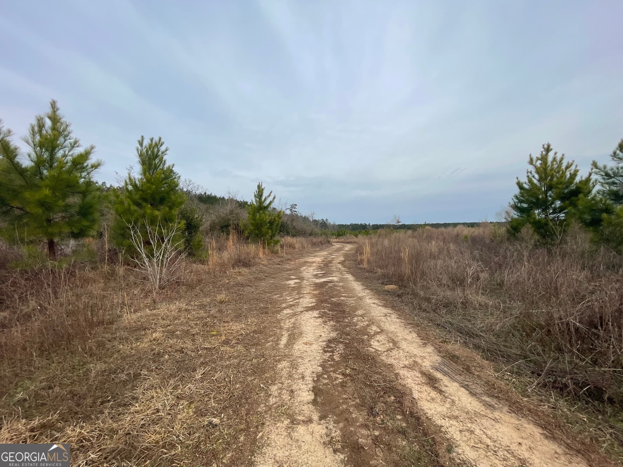 agriculture for sale at 1 Newington Highway, Sylvania, GA 30467 — photo 9