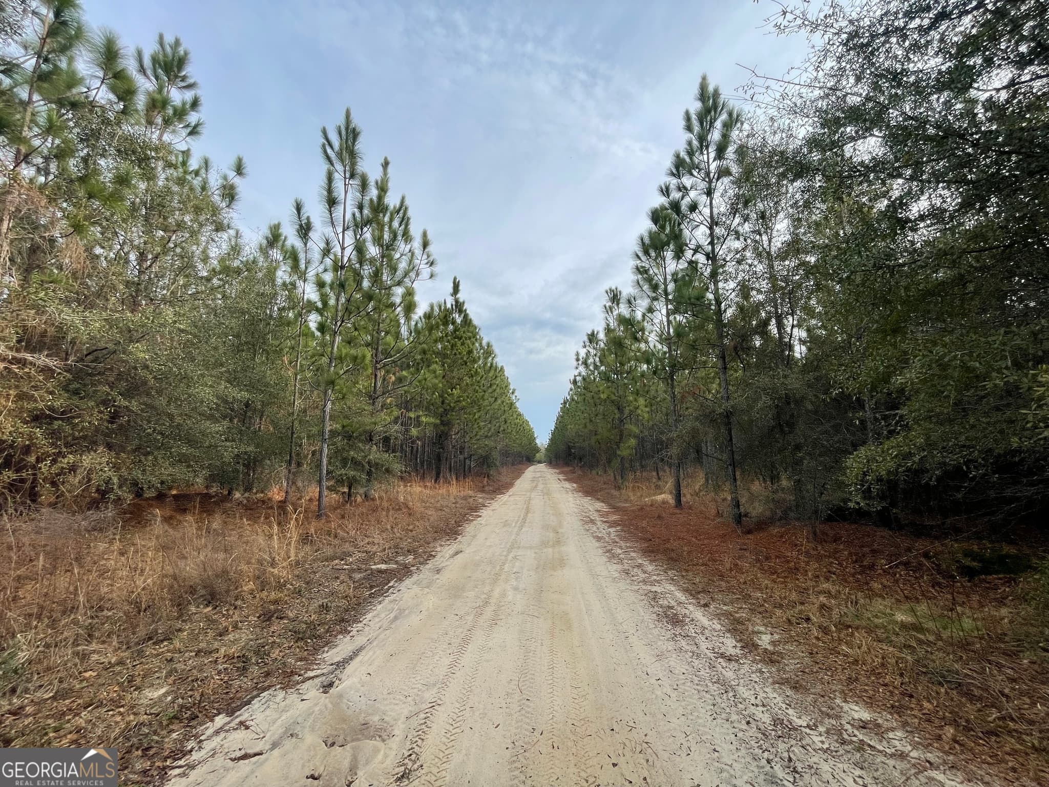 agriculture for sale at 1 Newington Highway, Sylvania, GA 30467 — photo 4