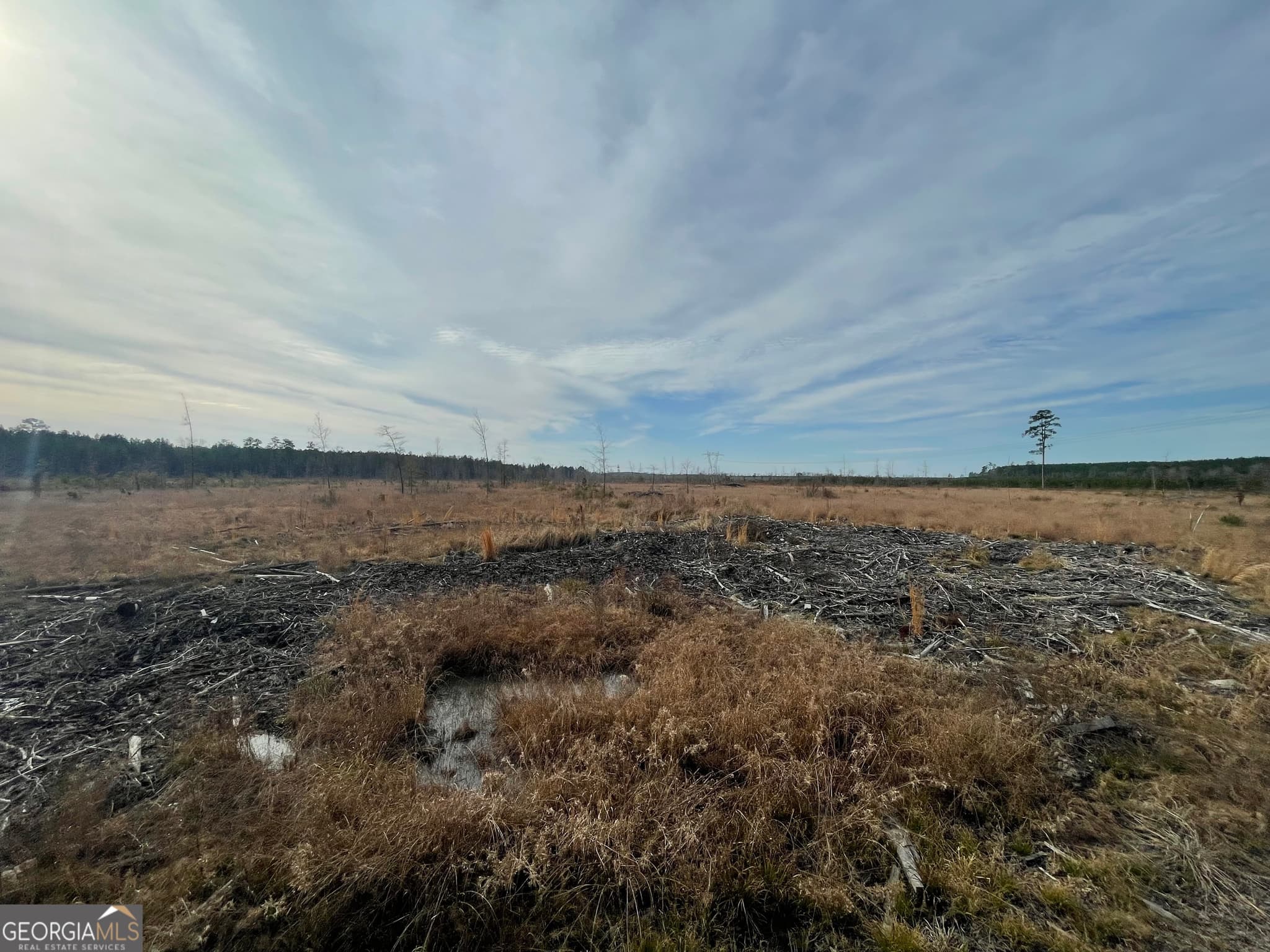 agriculture for sale at 1 Newington Highway, Sylvania, GA 30467 — photo 8