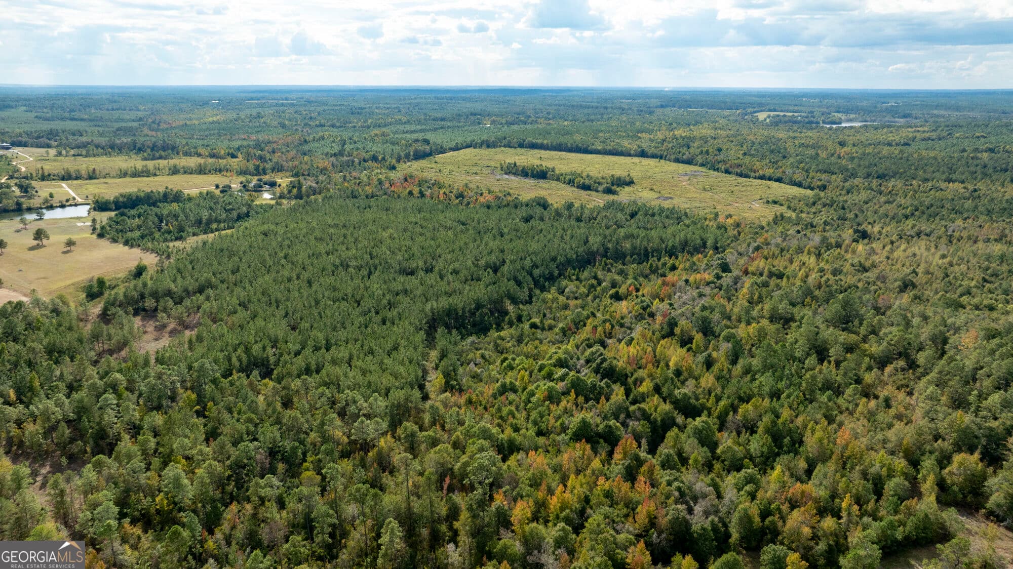unimproved land for sale at 0 Fortner Pond Road TRACT 1, Kite, GA 31049 — photo 2