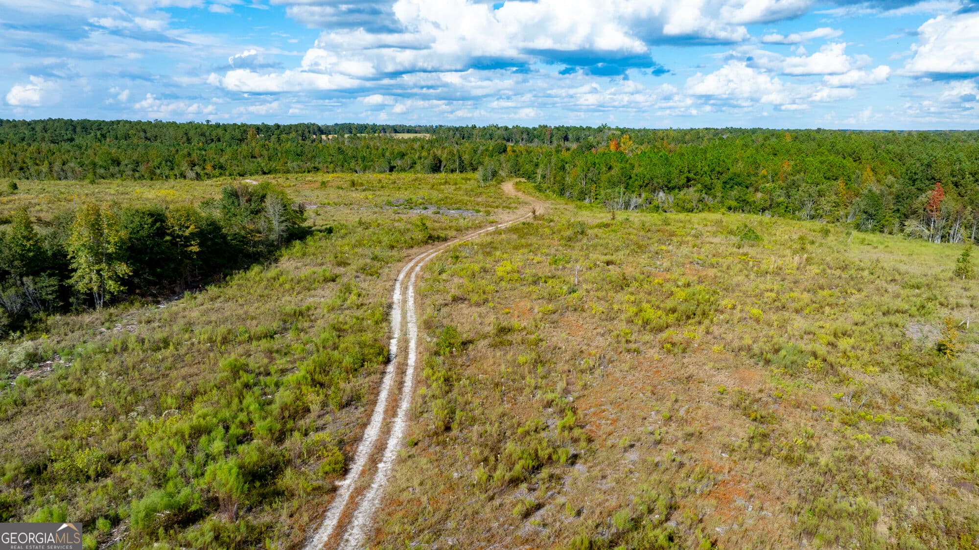 unimproved land for sale at 0 Fortner Pond Road TRACT 1, Kite, GA 31049 — photo 6