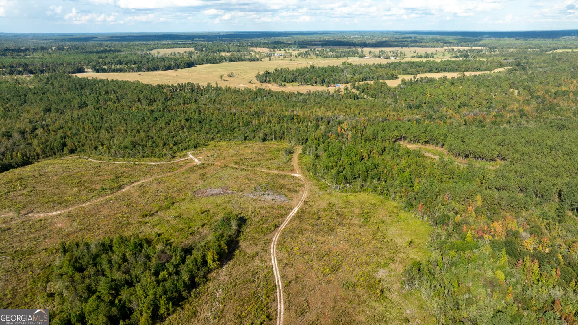 unimproved land for sale at 0 Fortner Pond Road TRACT 1, Kite, GA 31049 — photo 7