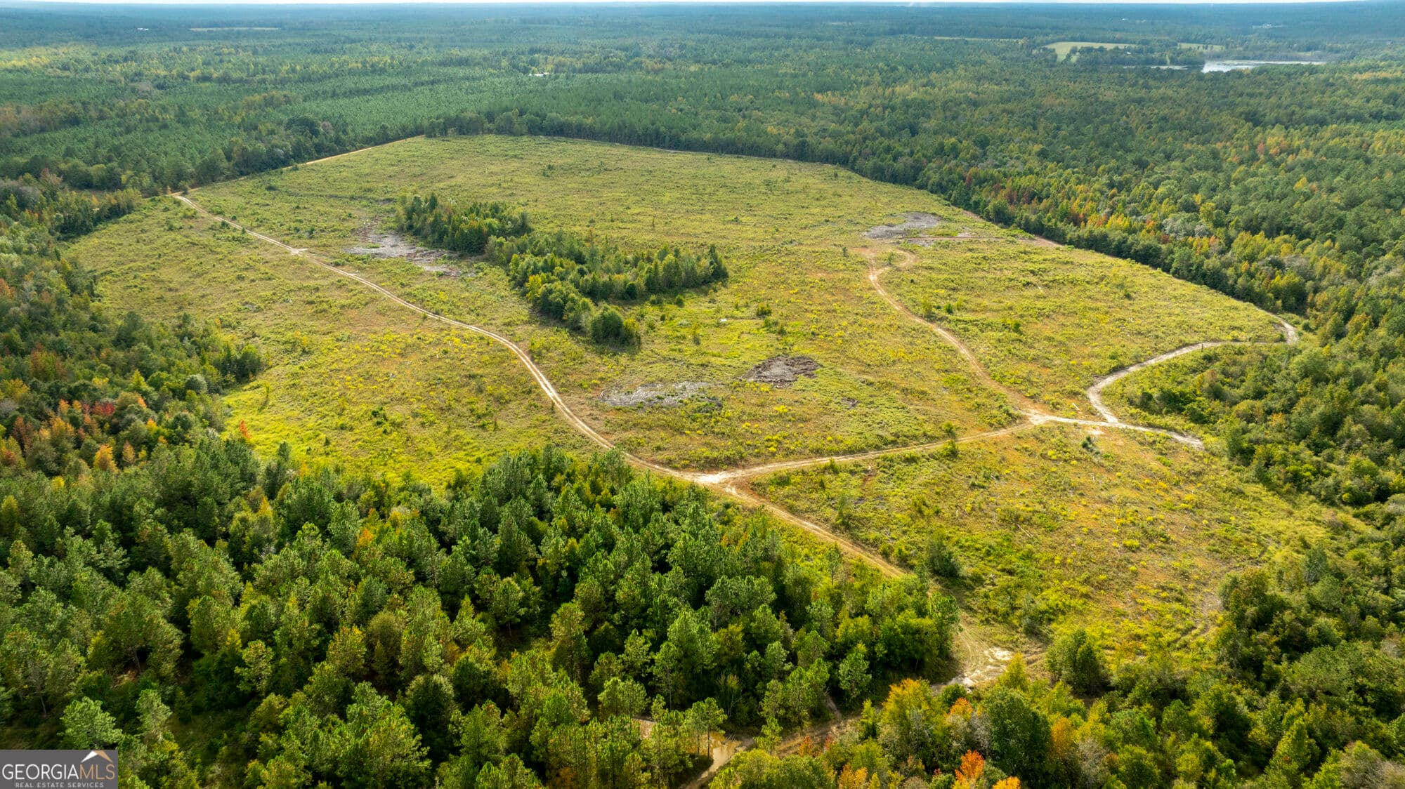 unimproved land for sale at 0 Fortner Pond Road TRACT 1, Kite, GA 31049 — photo 1 of 26