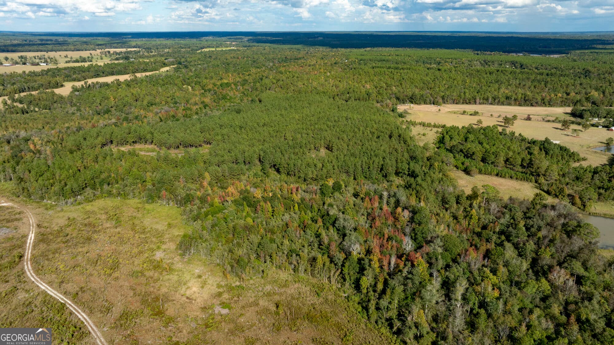unimproved land for sale at 0 Fortner Pond Road TRACT 1, Kite, GA 31049 — photo 5