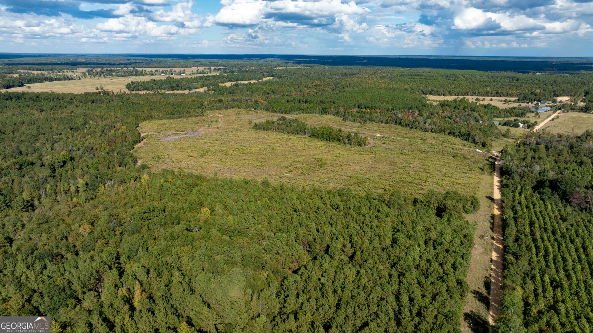 unimproved land for sale at 0 Fortner Pond Road TRACT 1, Kite, GA 31049 — photo 9