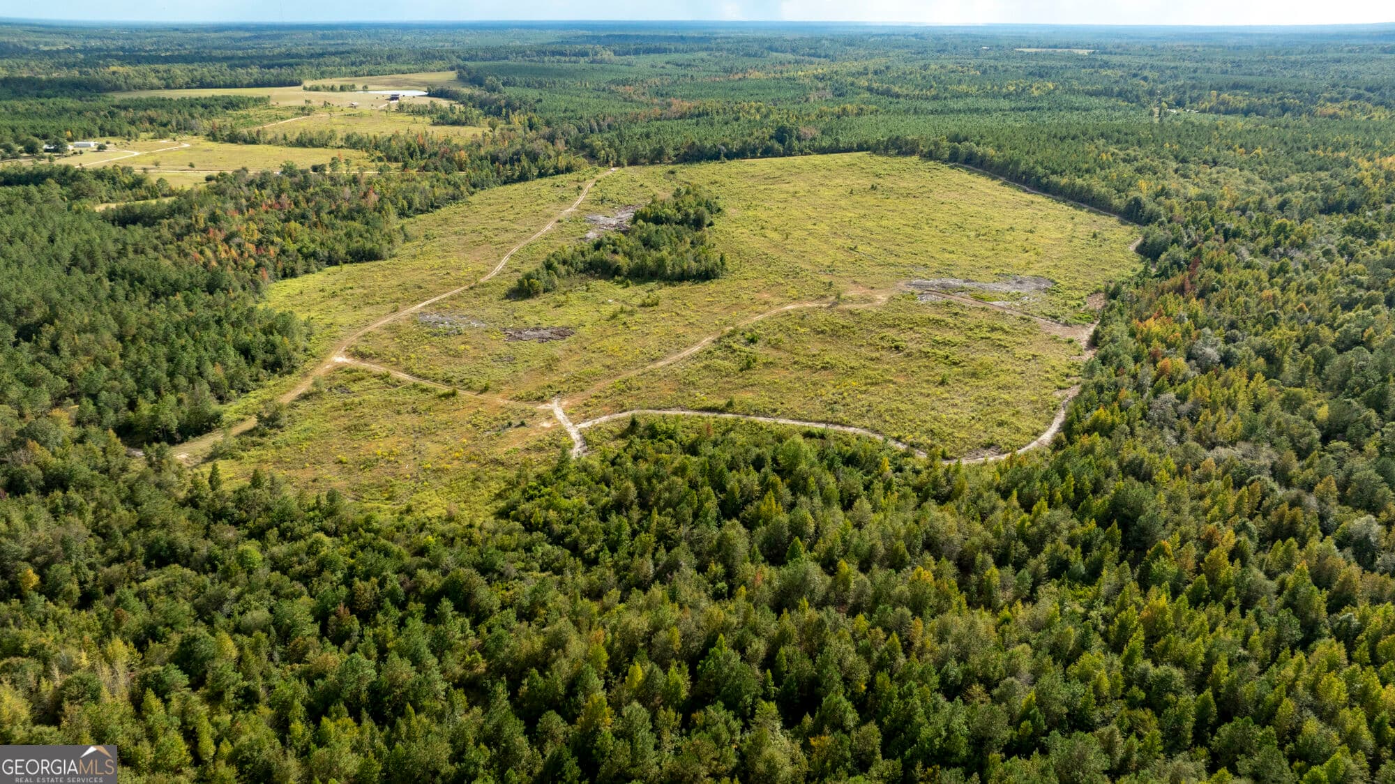 unimproved land for sale at 0 Fortner Pond Road TRACT 1, Kite, GA 31049 — photo 10